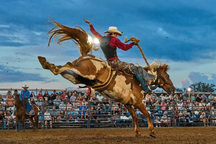 Southern Style Rodeo Southern Rodeo Company