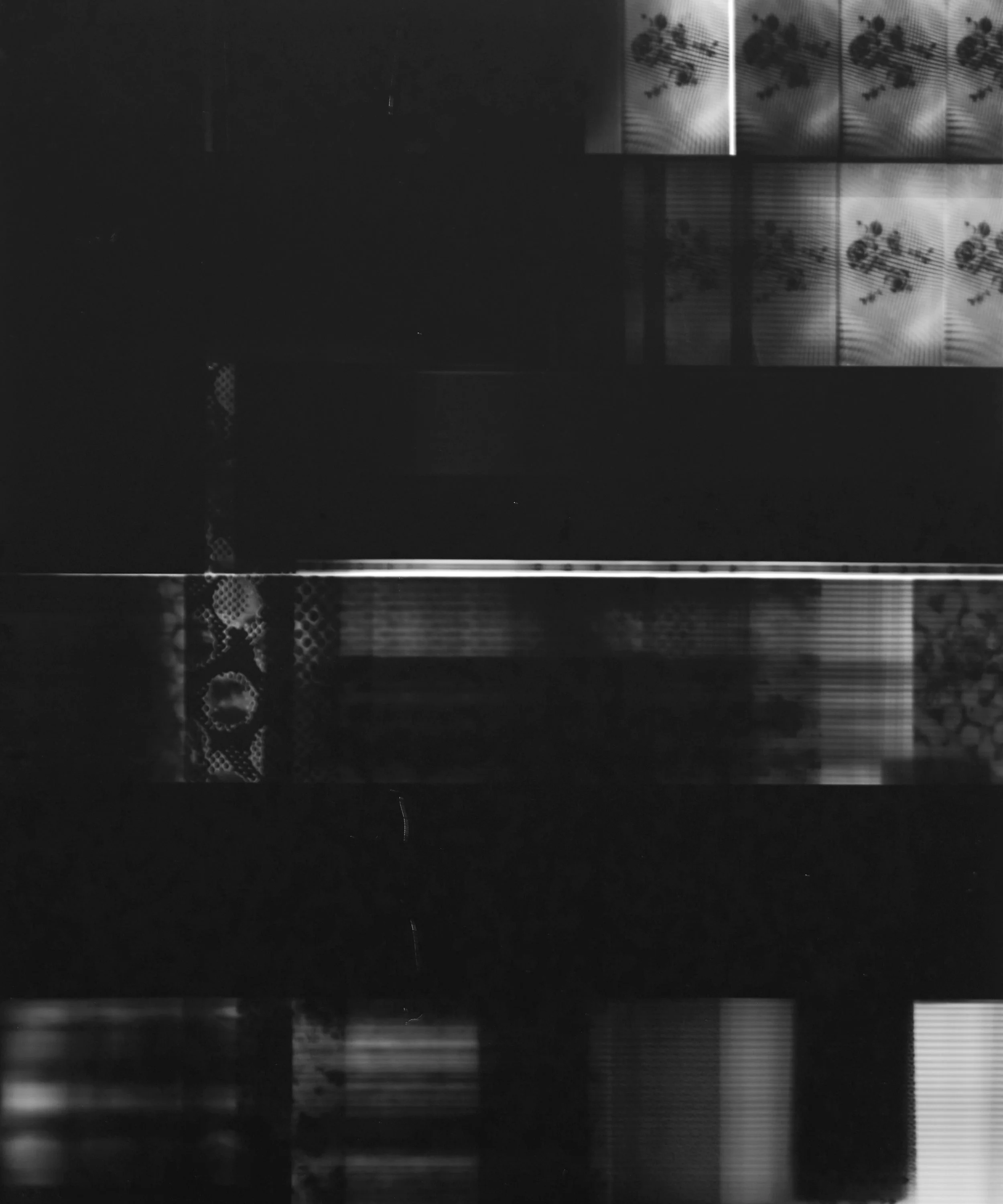Silver gelatin photogram, 50x40cm