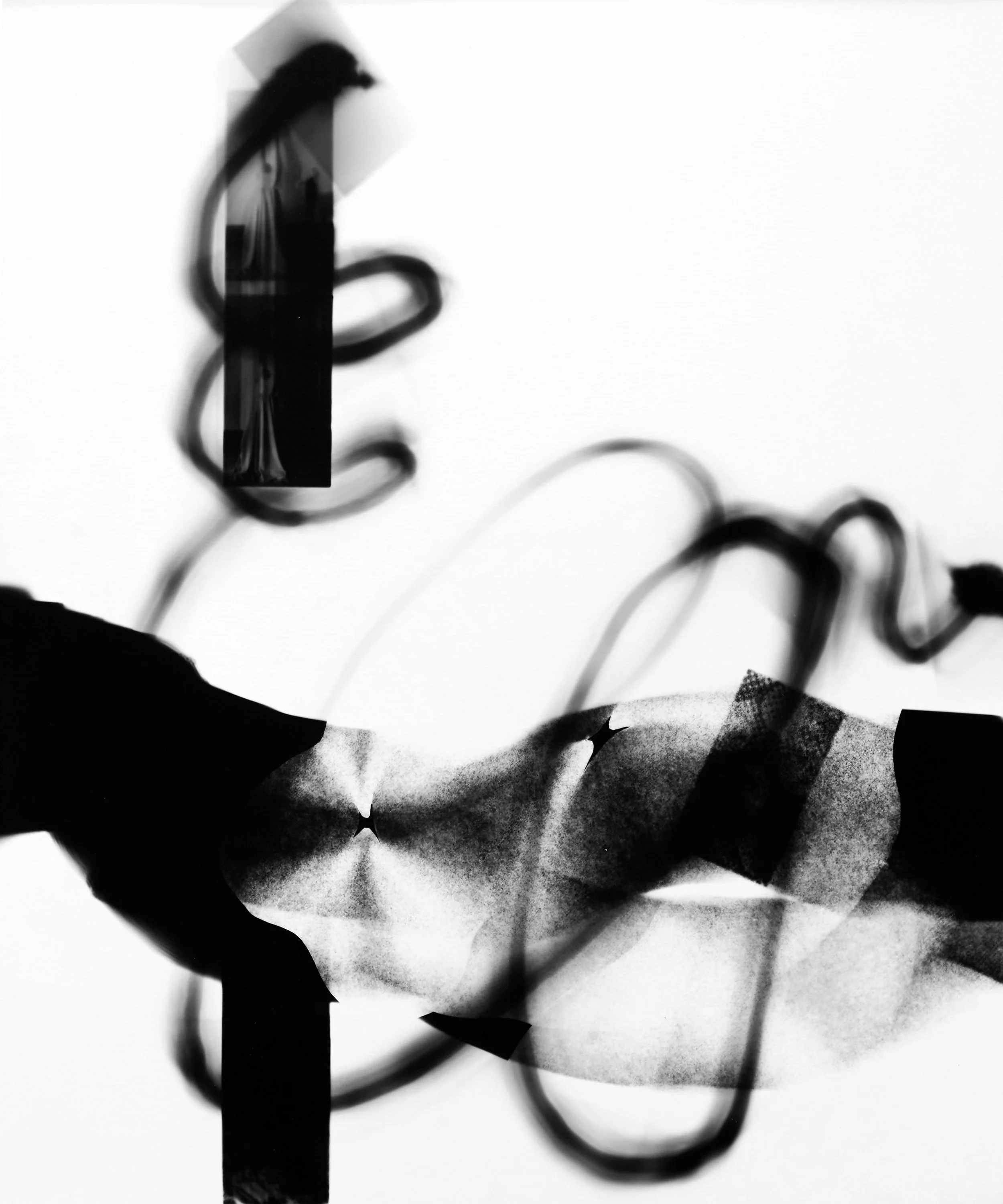Silver gelatin photogram, 50x40cm