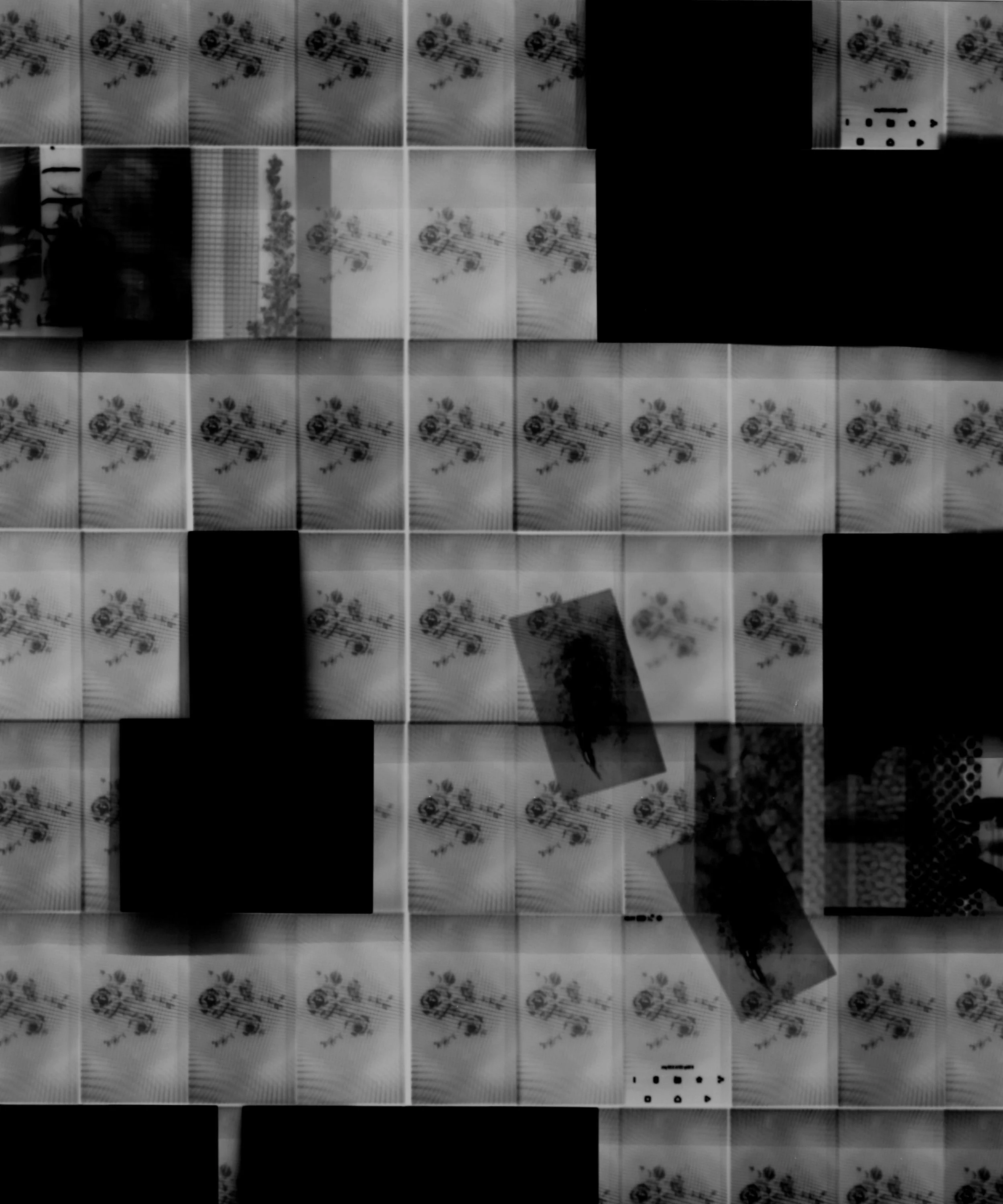 Silver gelatin photogram, 50x40cm