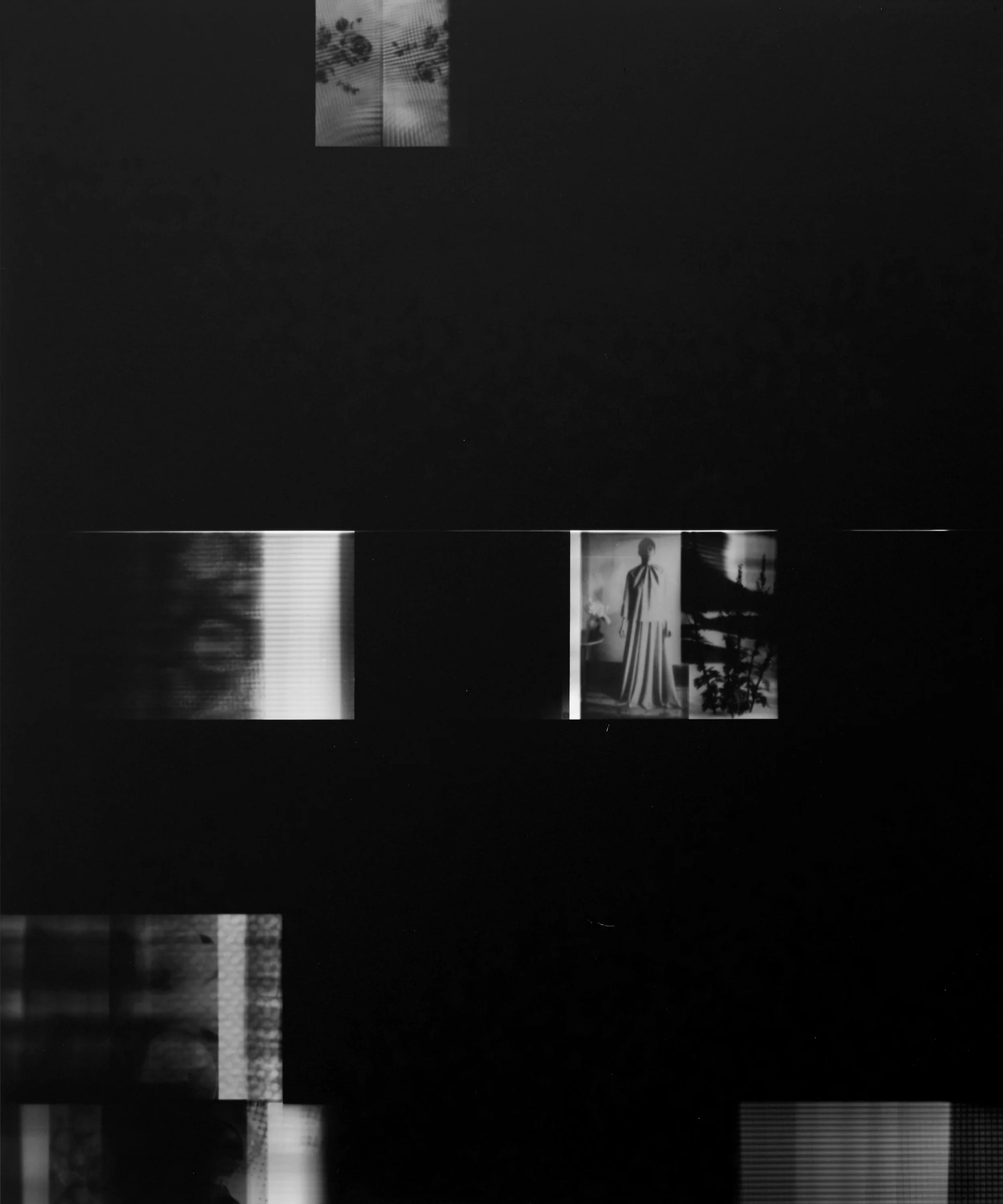 Silver gelatin photogram, 50x40cm