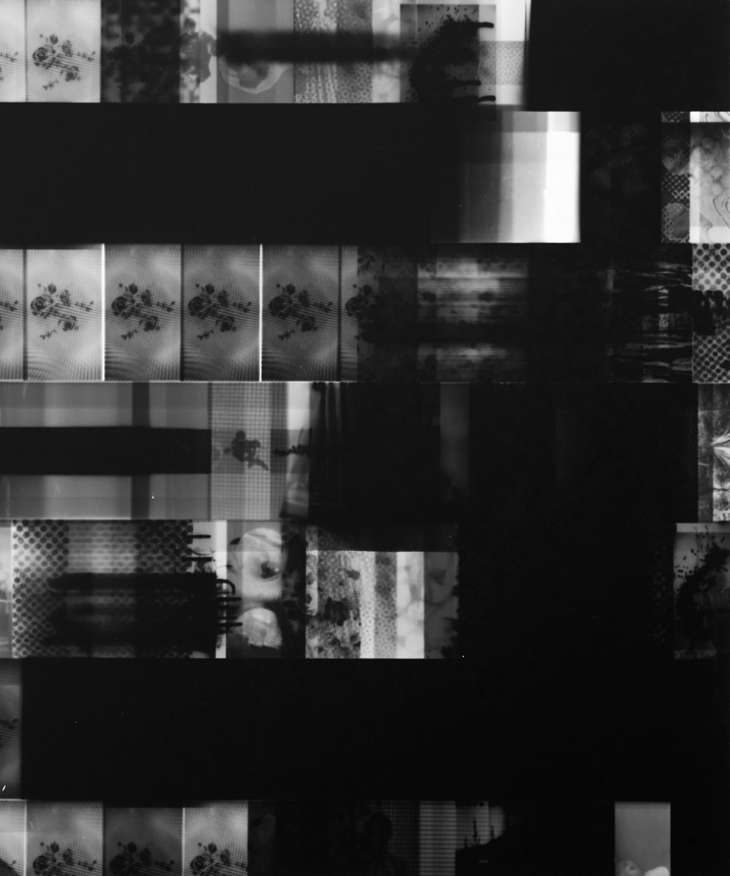 Silver gelatin photogram, 50x40cm