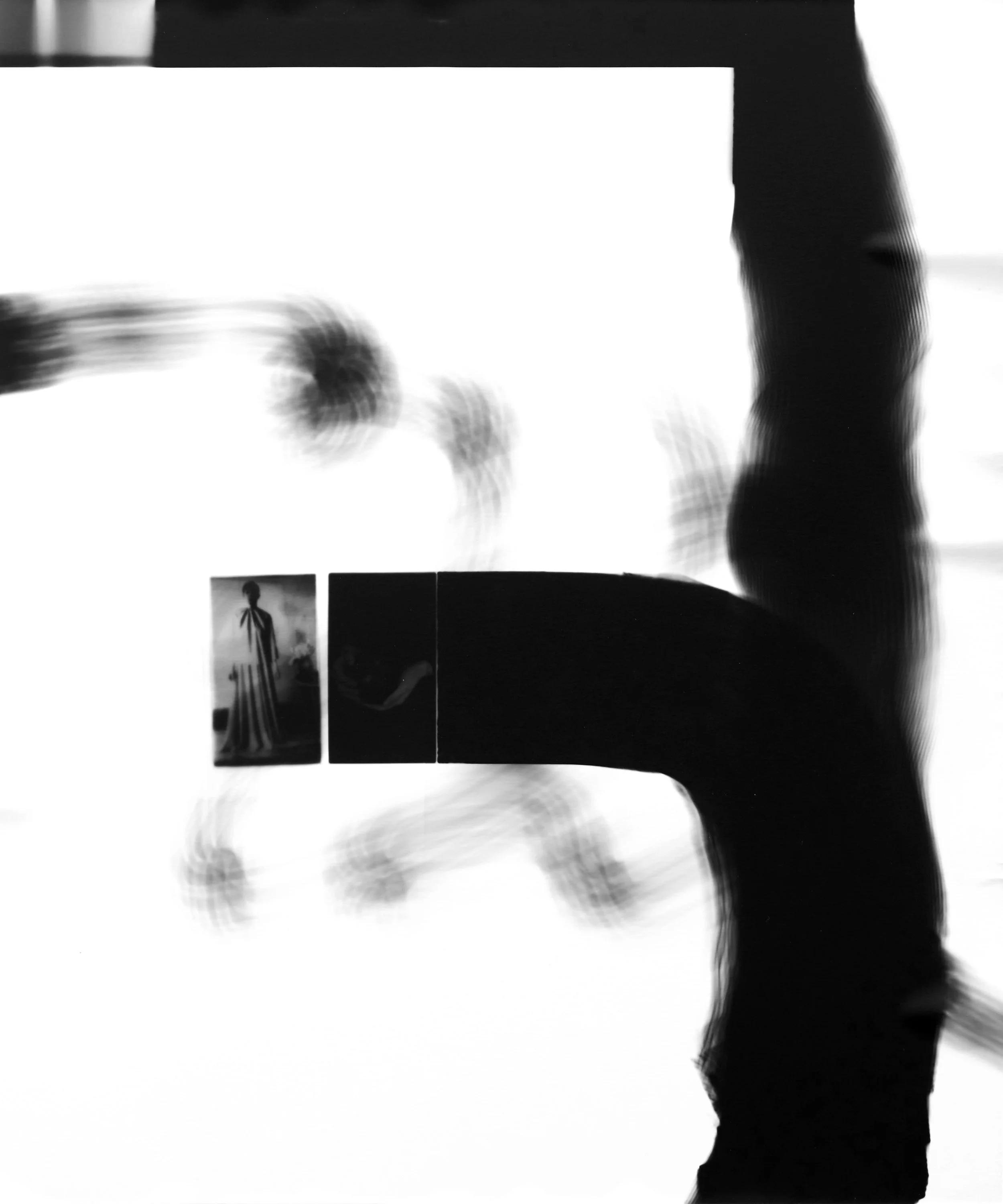 Silver gelatin photogram, 50x40cm