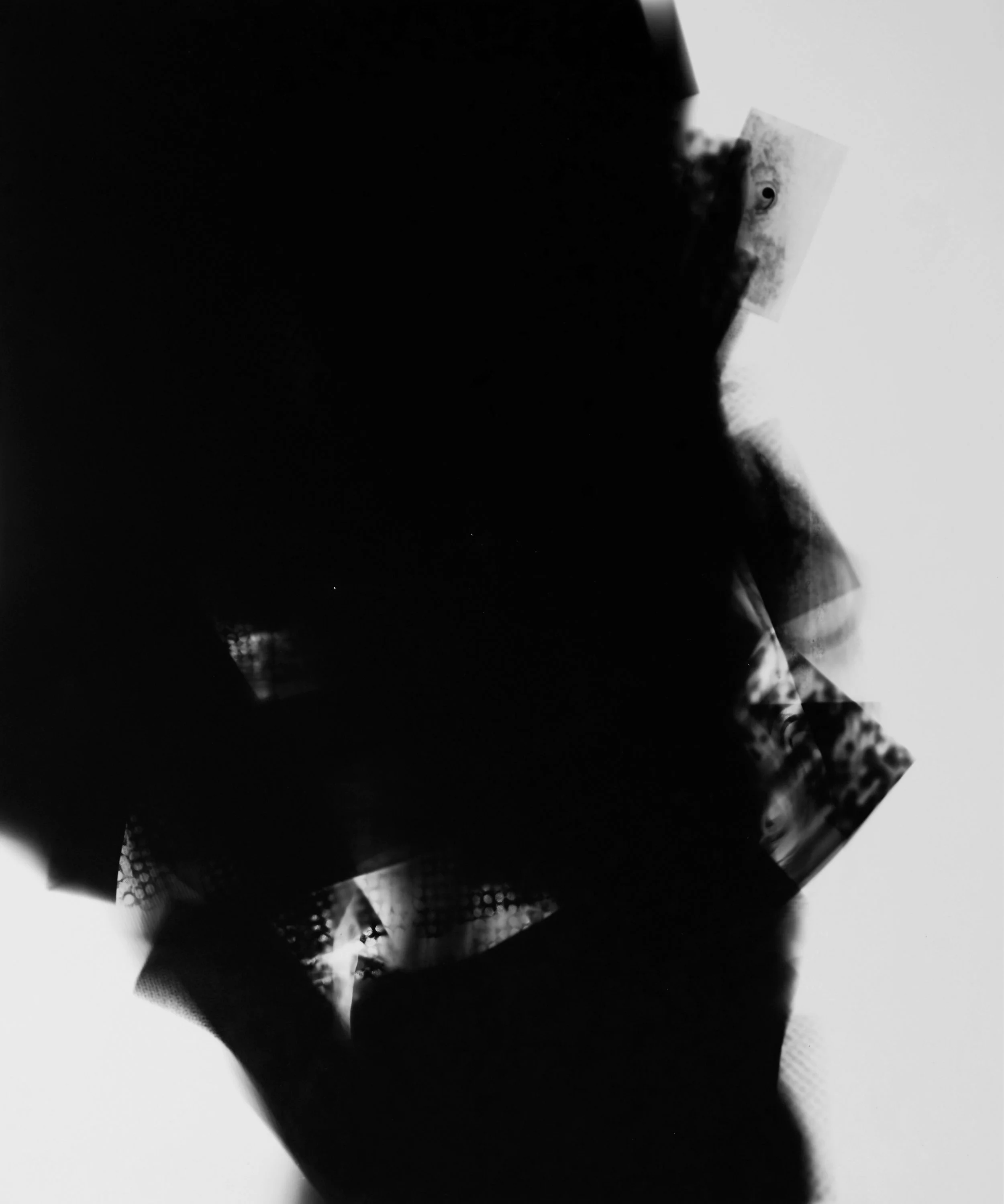Silver gelatin photogram, 50x40cm