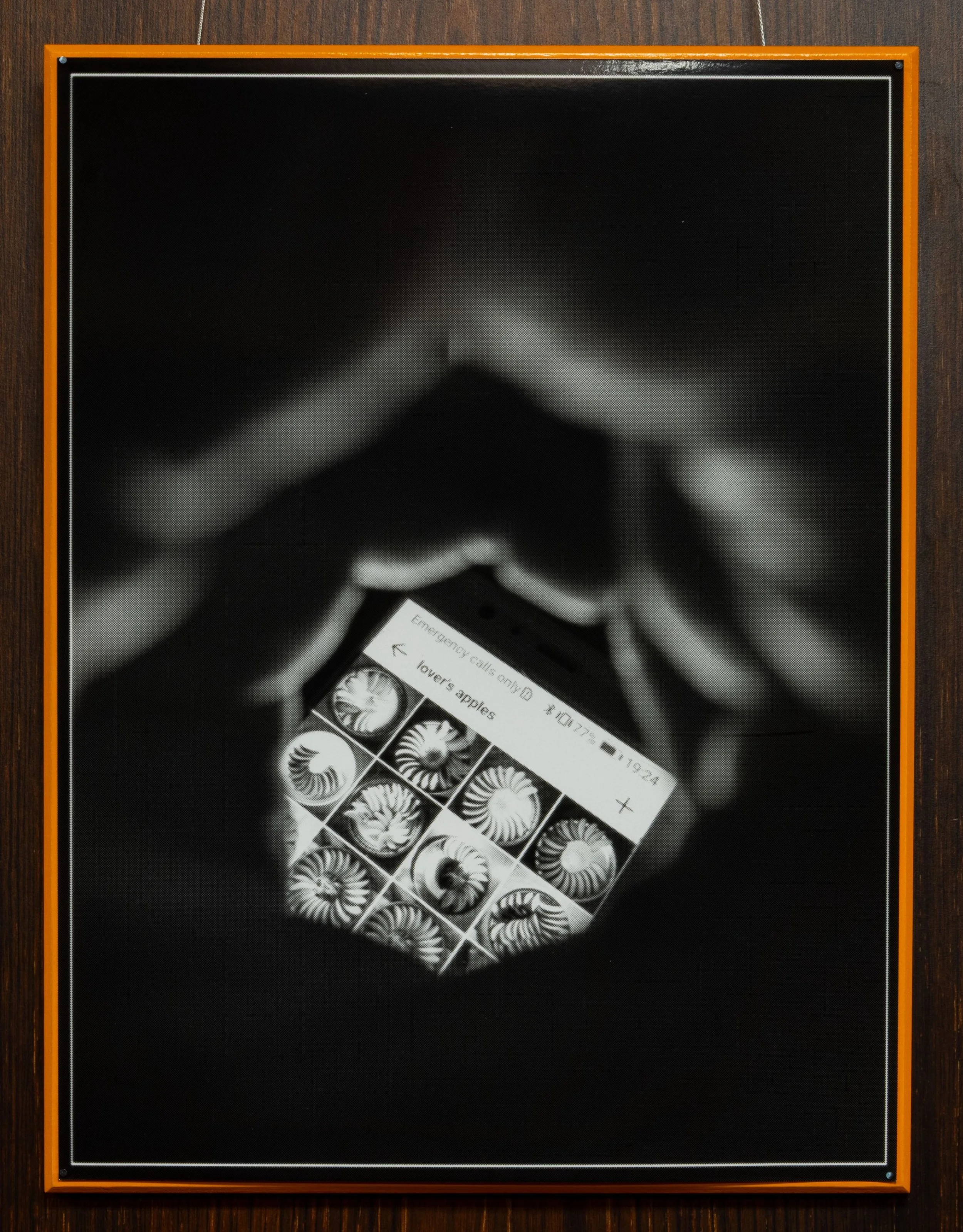 3.Flesh sight - Huawei P20 Plus (Lover's apples) - 40.6x30.5cm - silver gelatin print.jpg