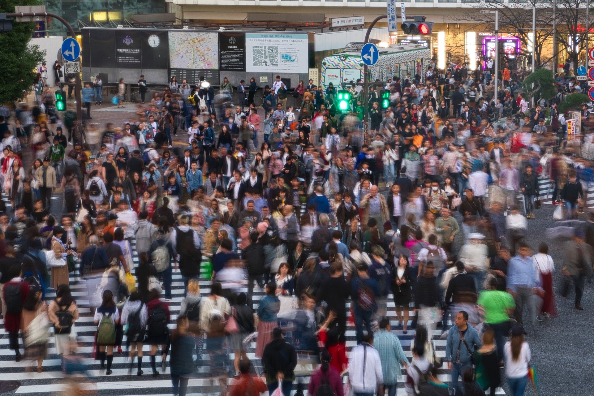 What do we learn from the history of crowd related incidents?