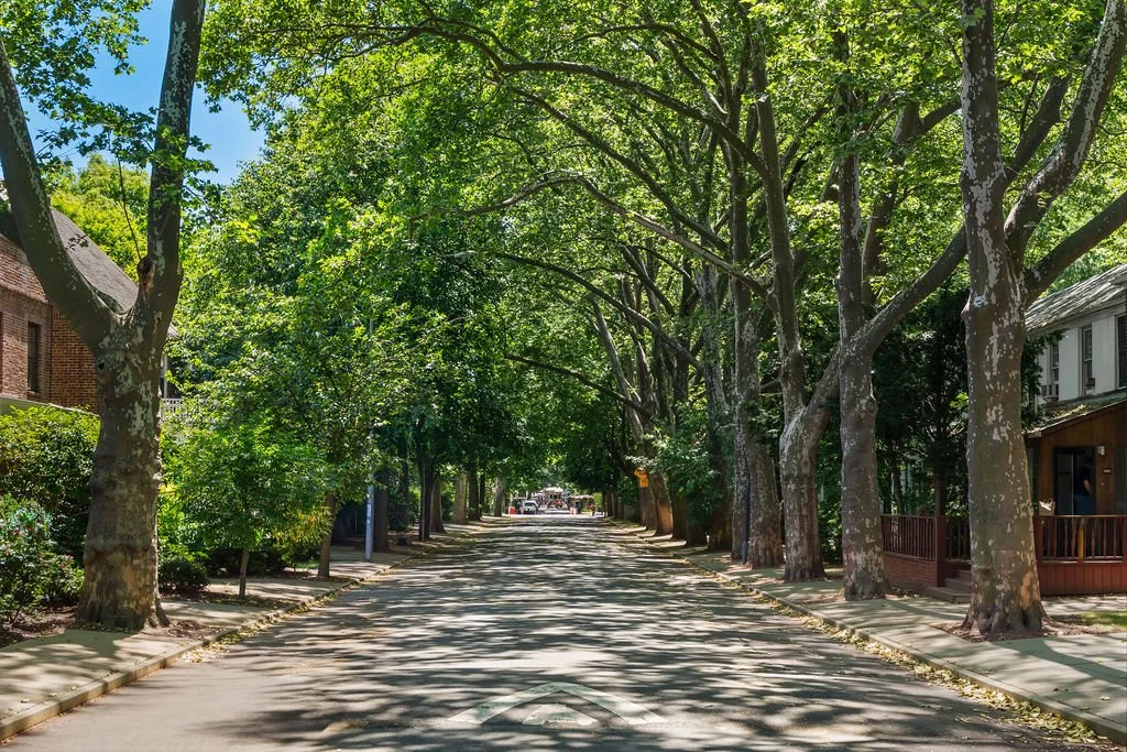 Tree-lined street with brick row houses in Sunnyside Gardens, Queens