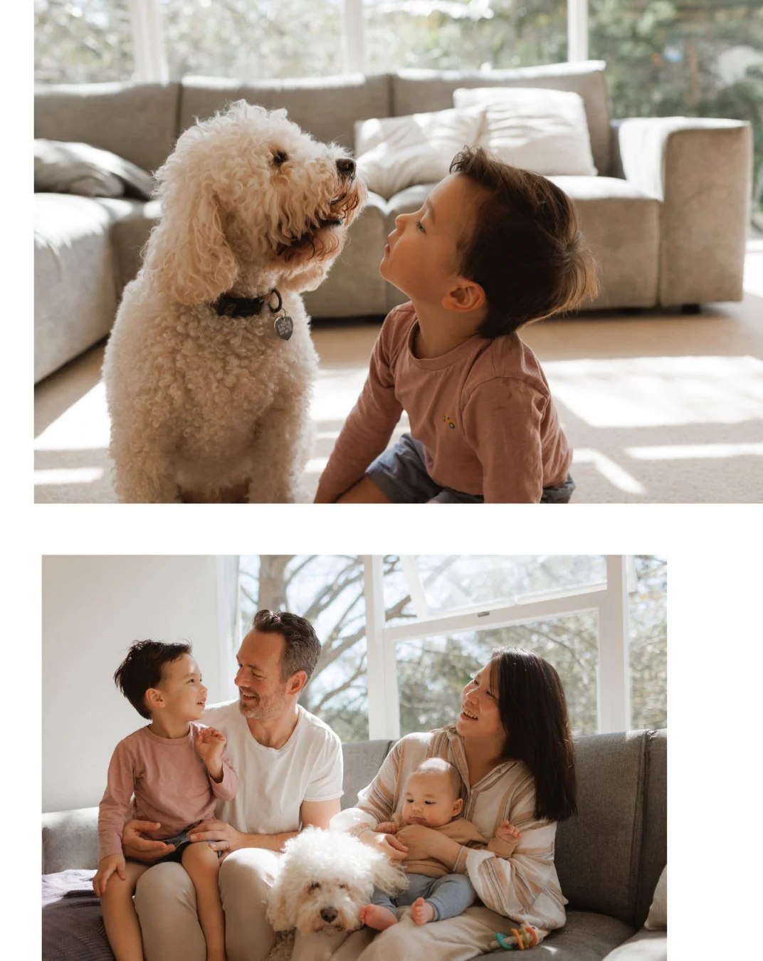 Toddler with pet dog and family together with toddler, baby and dog