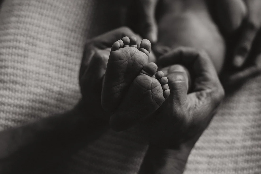 manly-newborn-photographer-046.jpg