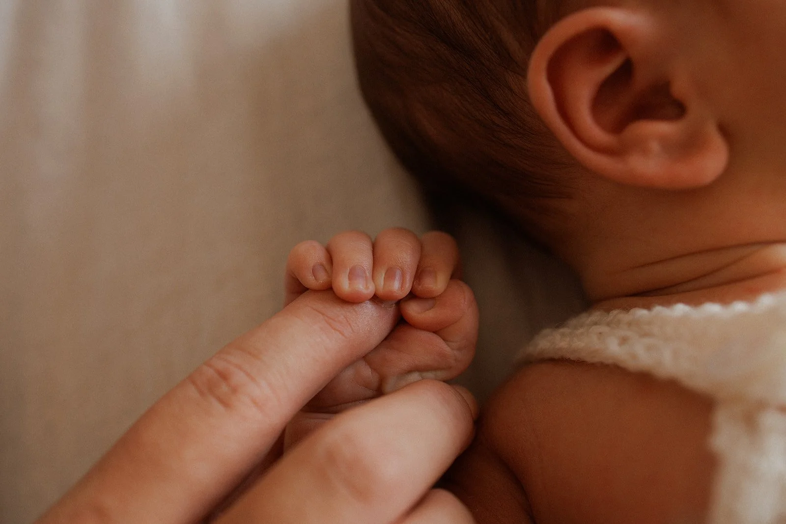 Close up of newborn baby's fingers holding parent's hands