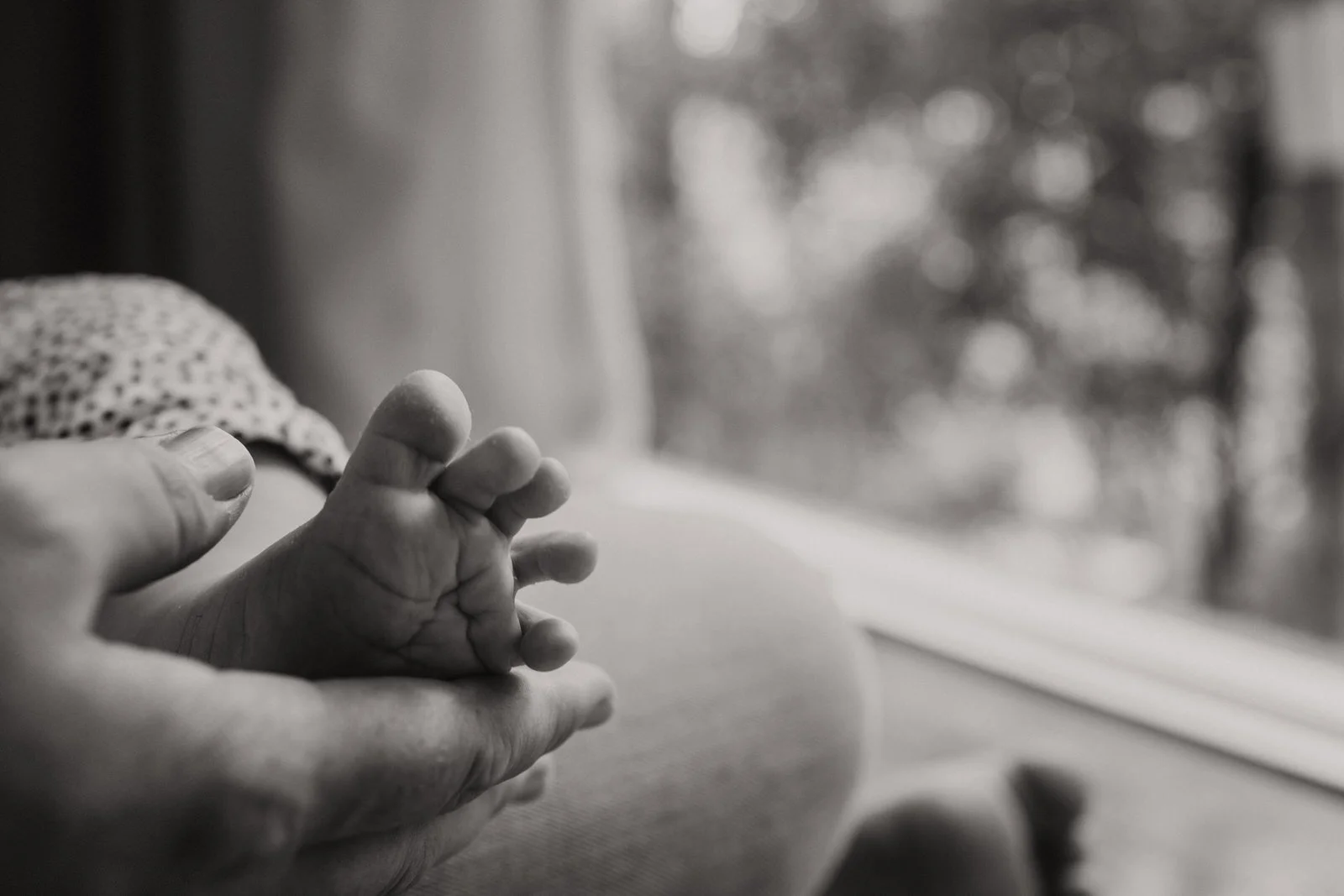 north-shore-relaxed-family-photos-Little-Manly-Photography-113.JPG