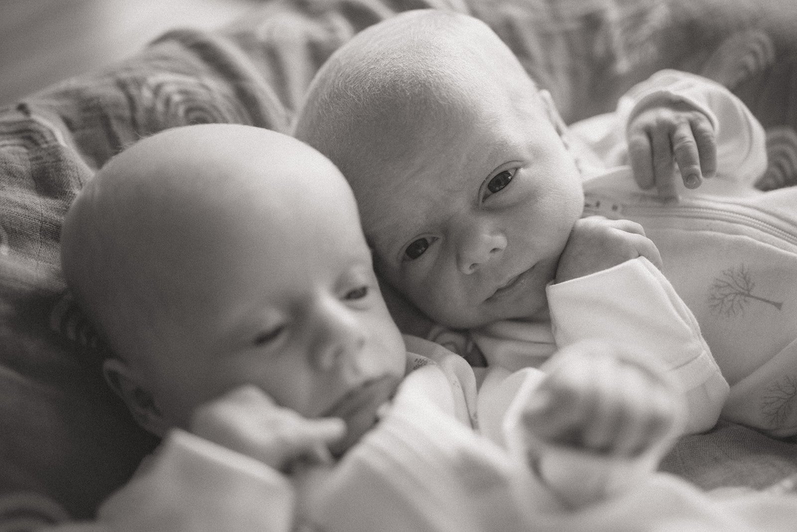 Lisa-Hedges-Little-Manly-Photography-088-BW.jpg