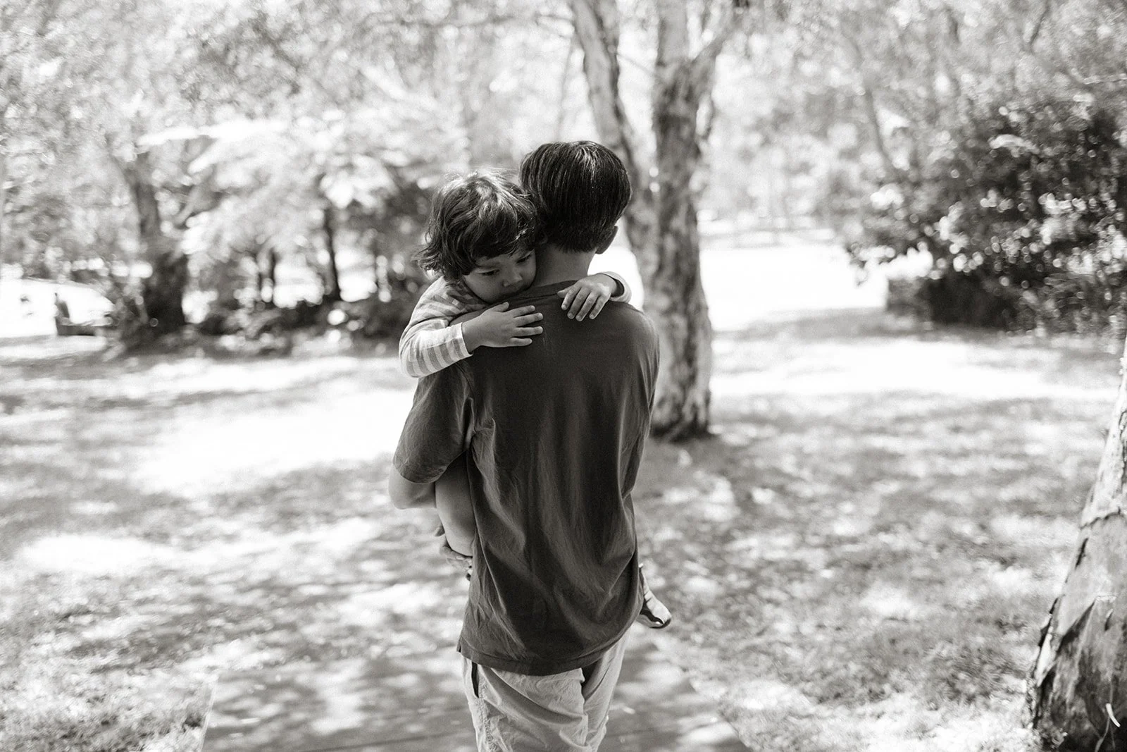Father carrying toddler son in park