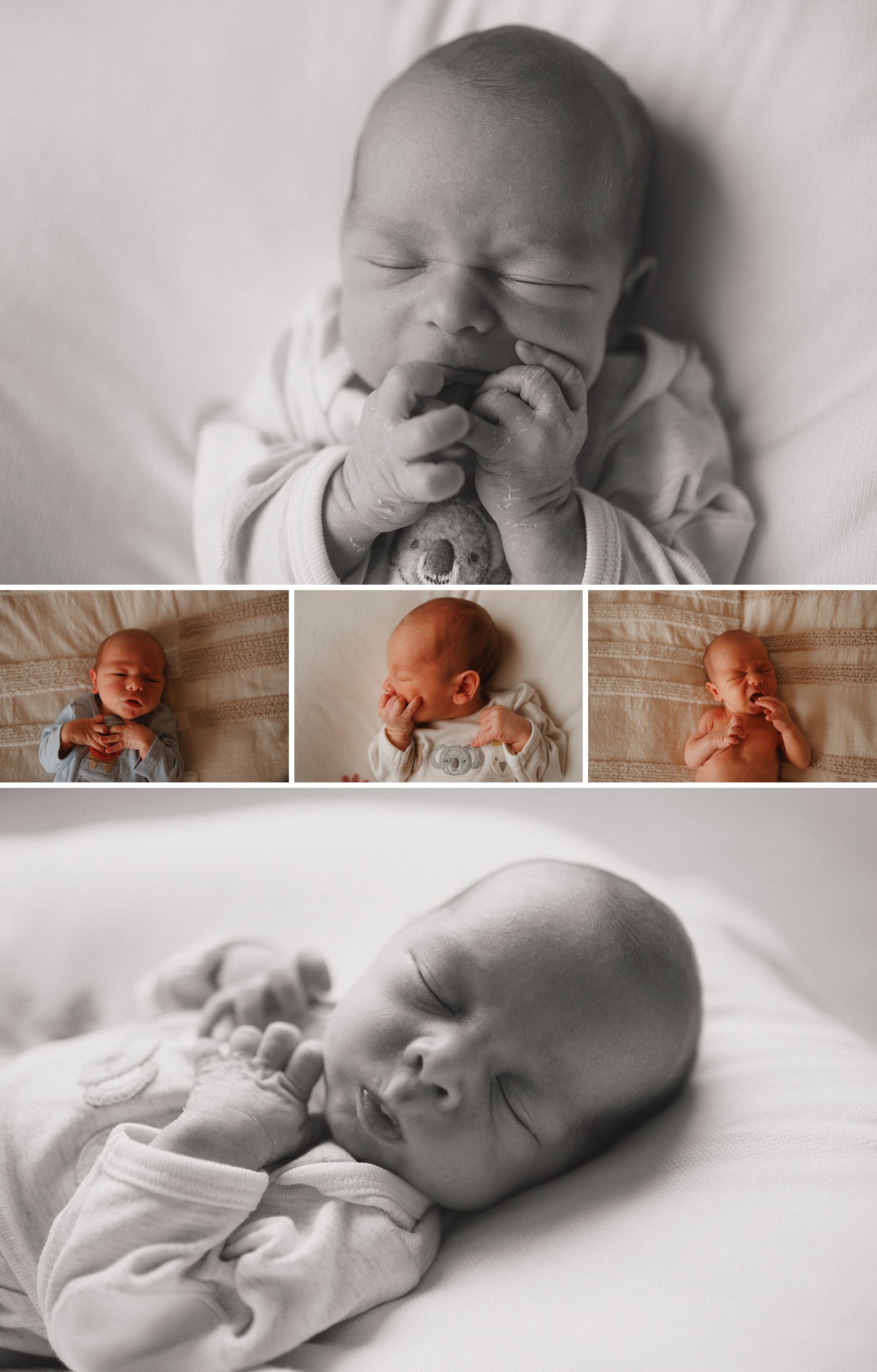 Photo collage of newborn baby lying on bed in colour and black and white
