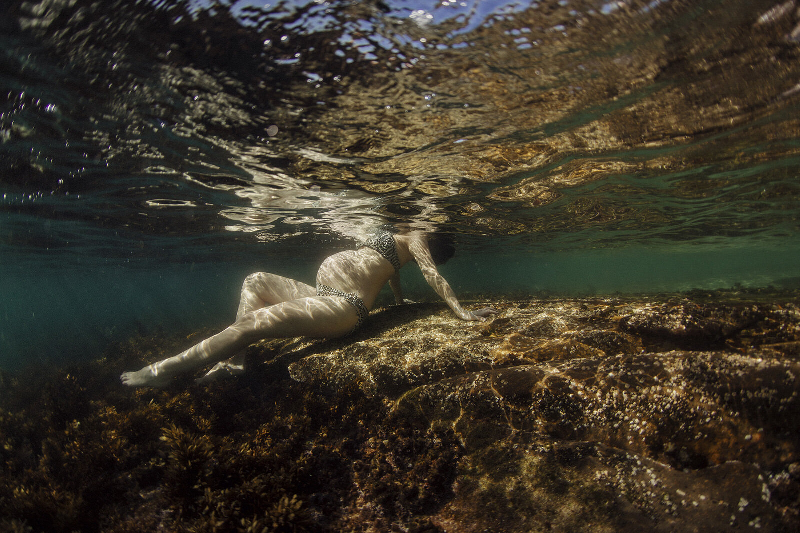 Sydney_Underwater_maternity_shoot_little_manly_photography.jpg