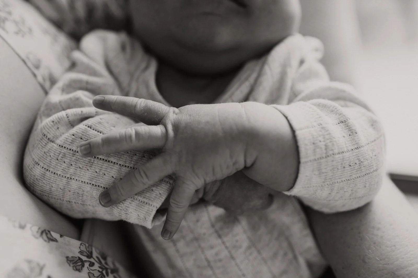 Photo of newborn baby's hands