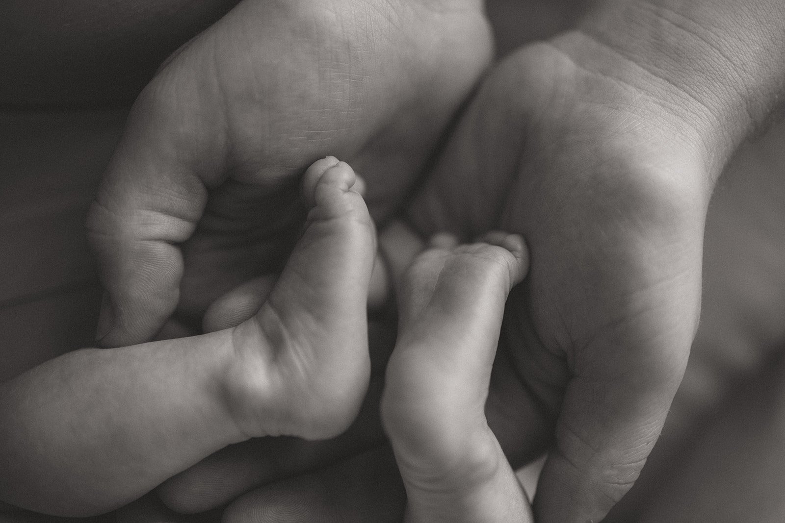 Baby's feet in parent's hands