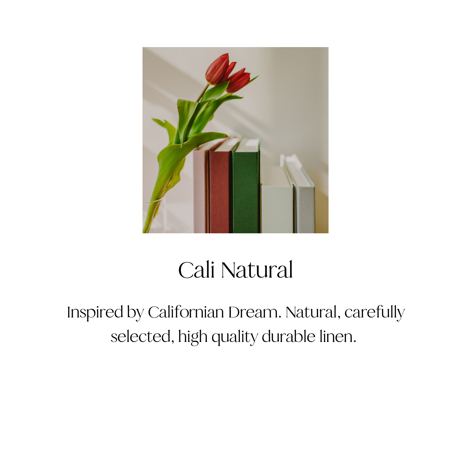 A pink tulip flower with green leaves placed in front of a row of colorful books standing upright on a white surface.