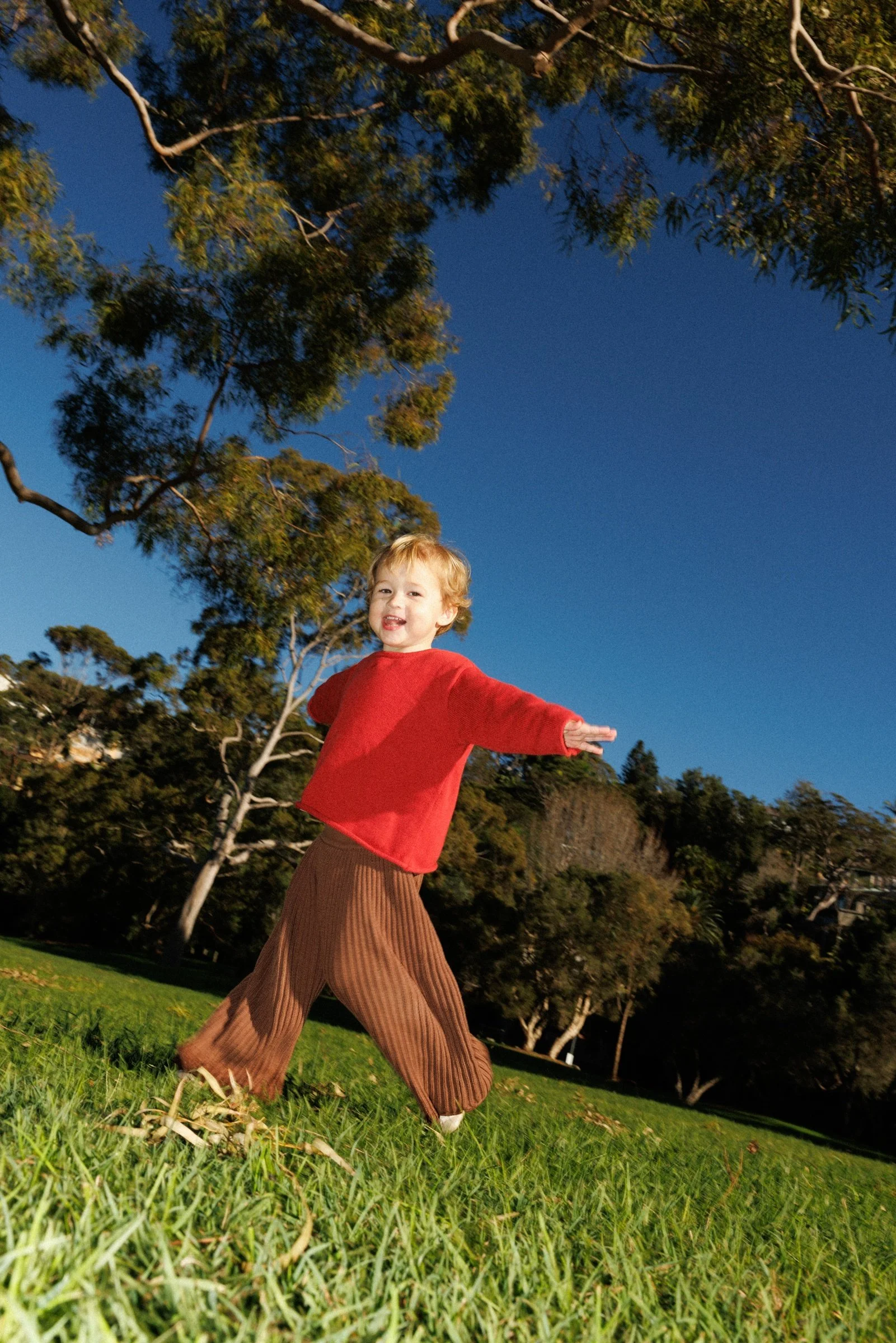 Child in a red jumper running through sunlit grass beneath a deep blue sky.