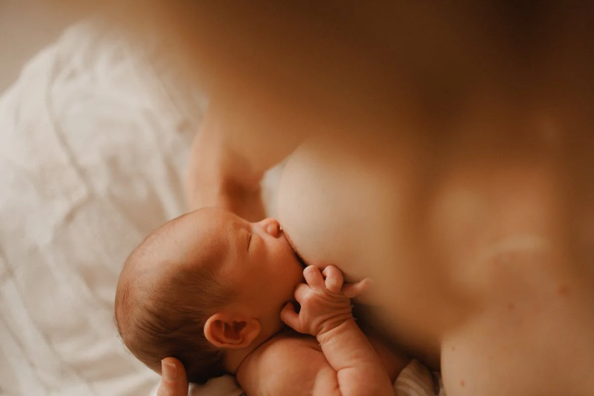 Newborn-Baby-photographer-sydney-075.jpg