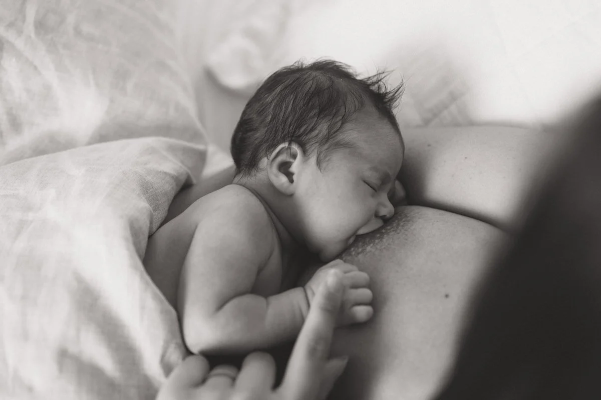 Newborn-Baby-photographer-sydney-103.jpg