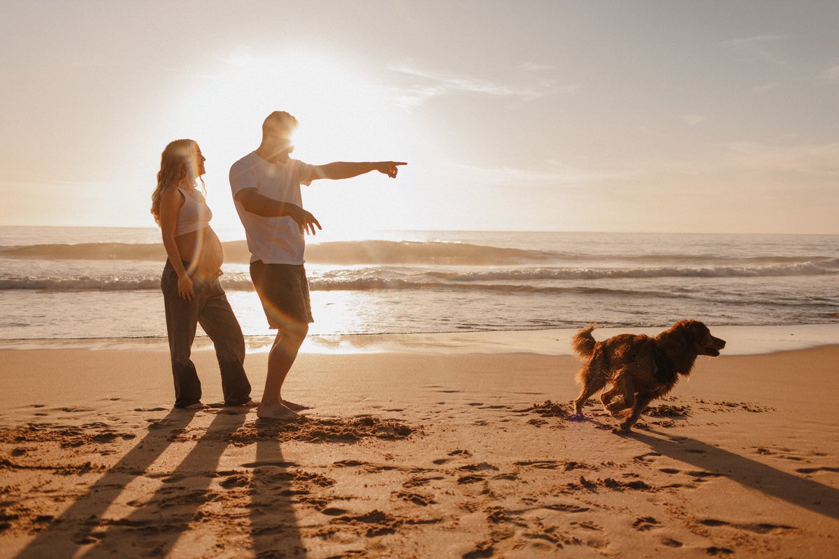 Couple walking on the beach at sunset, with one person pointing, and a dog running ahead on the sandy shore.