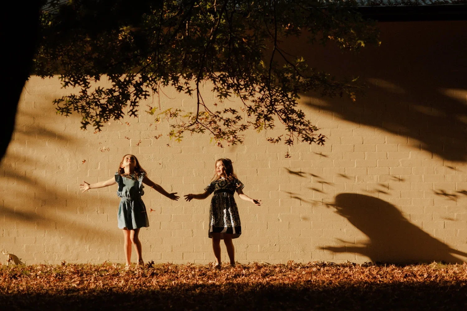 46-little-manly-sisters-sunlit-wall-shadows.webp