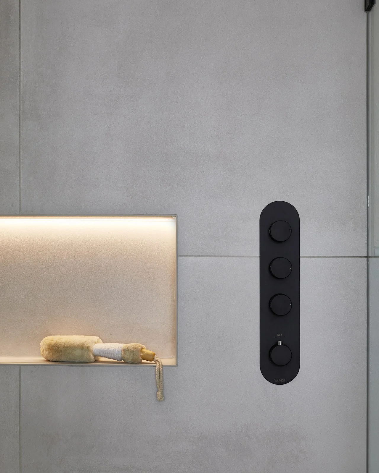 KeeleyMcCleary_BloorWest-ensuite-shower-niche.jpg