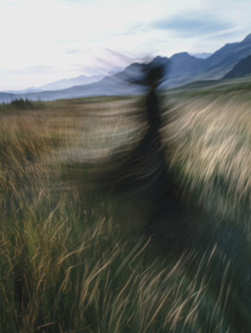 Blurry landscape of a grassy field with mountains in the background and a cloudy sky.
