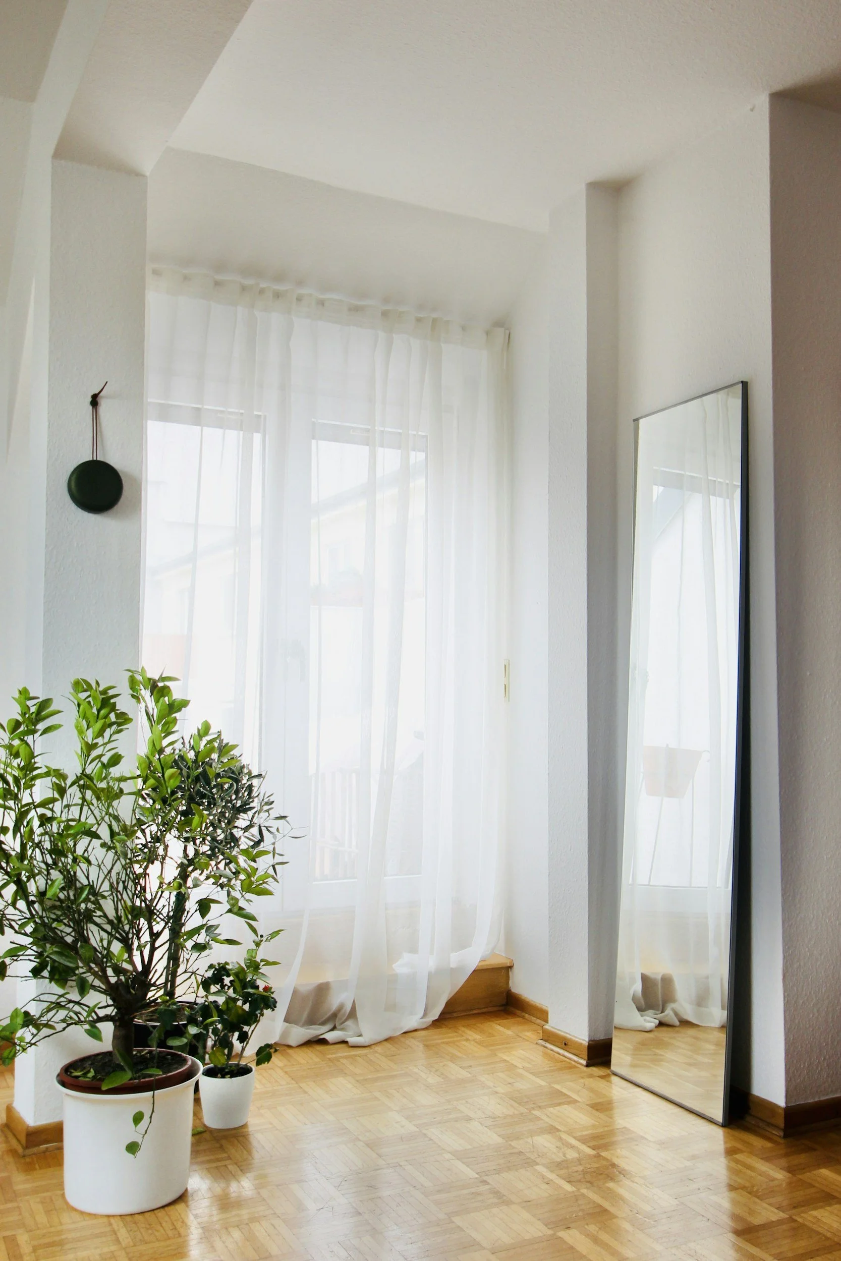 Intérieur d'une pièce lumineuse avec des fenêtres à rideaux en velours blanc, un miroir en pied, et plusieurs plantes en pots, dont un arbre vert foncé dans un grand pot blanc.