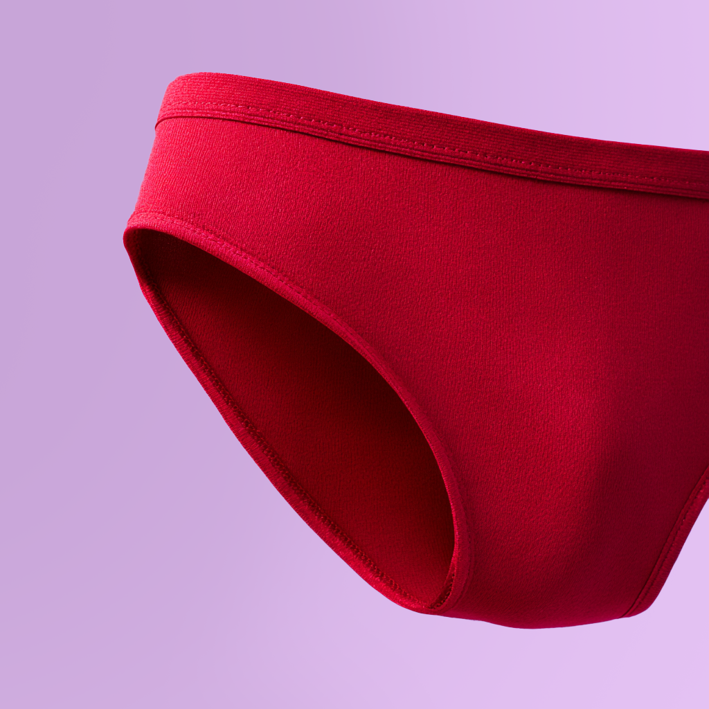 eenesh_a_close-up_shot_of_red_reusable_underwear_briefs_high-en_7e50719e-6826-4f18-b156-29cf26e5ffd8.png.webp