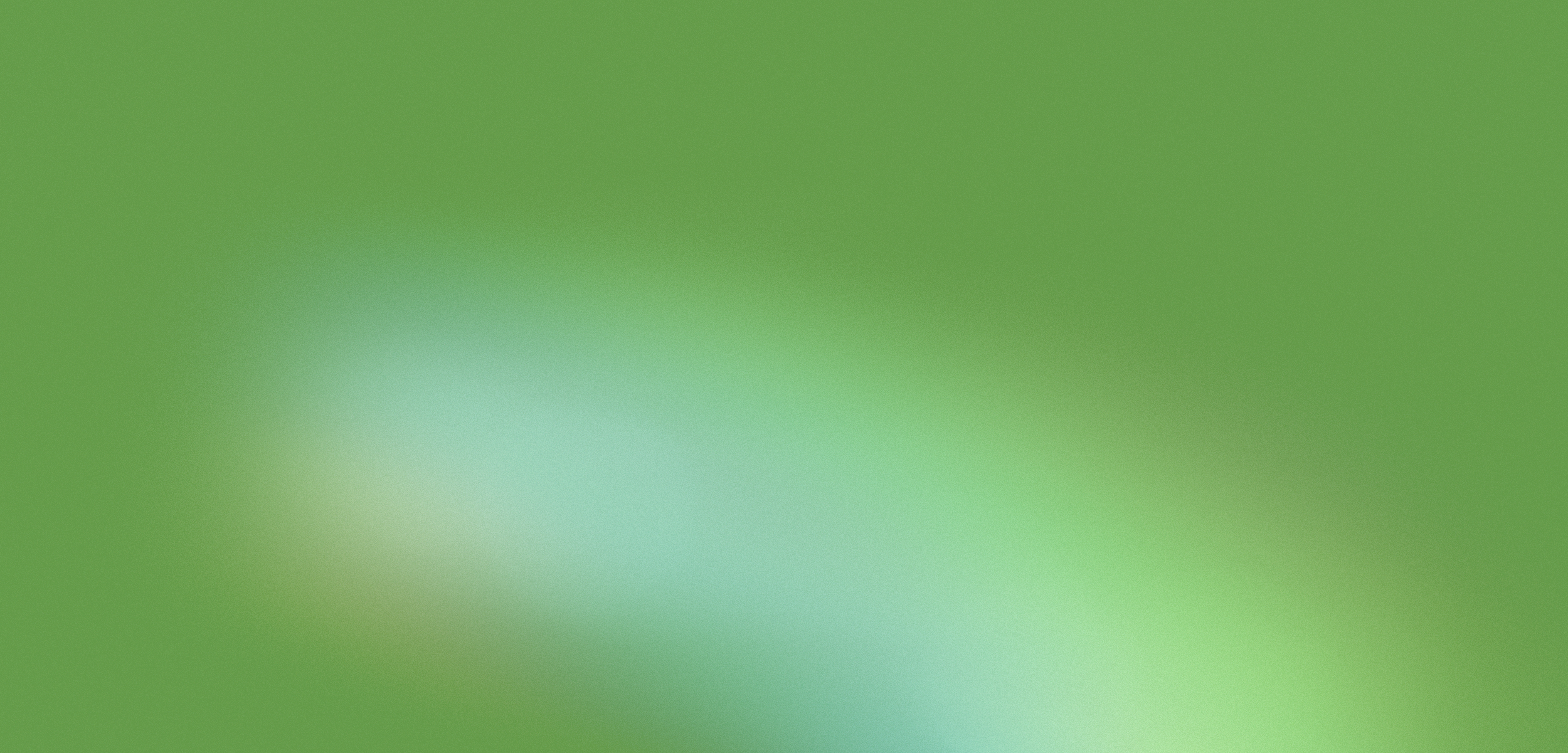 The Green AI Paradox