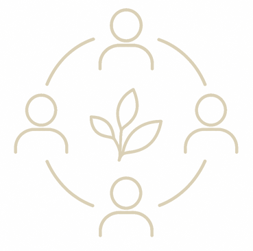 Symbolische Darstellung von Zusammenarbeit mit einer Pflanze in der Mitte, umgeben von fünf Personen, verbunden durch Linien.