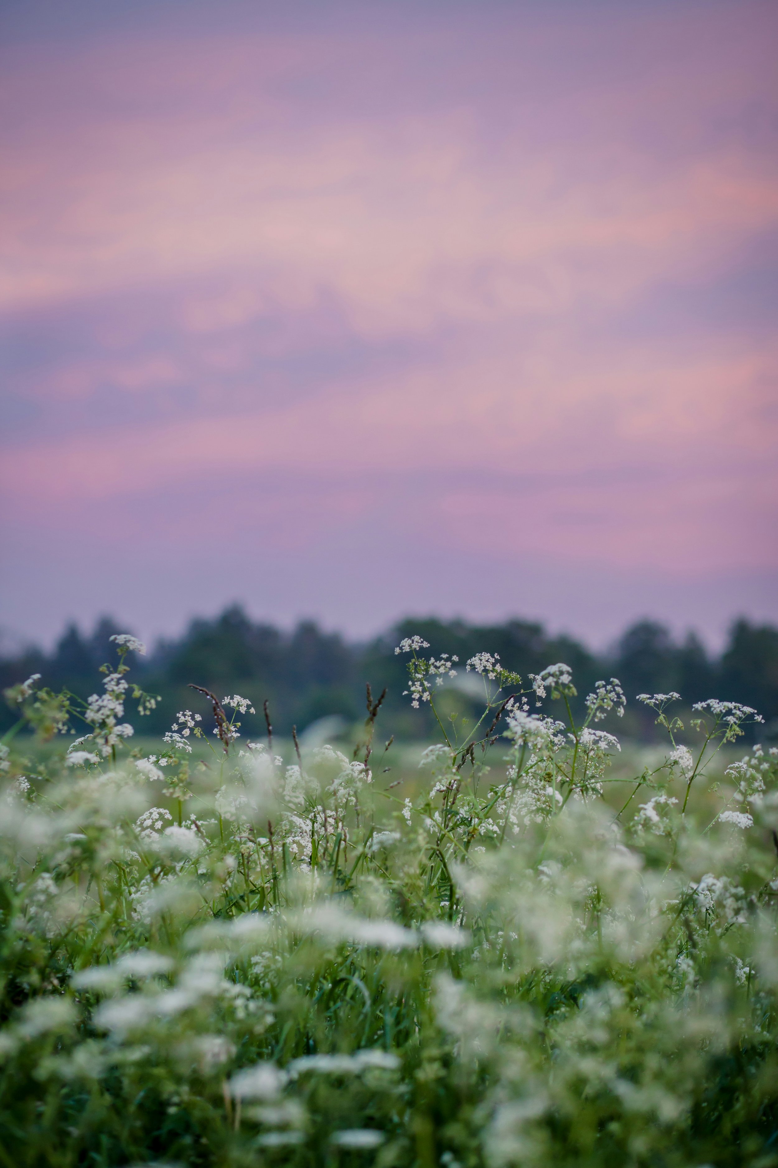 Pegasus Therapy provides EMDR trauma therapy sessions in Michigan, helping clients process difficult experiences, reduce stress, and improve emotional well-being.