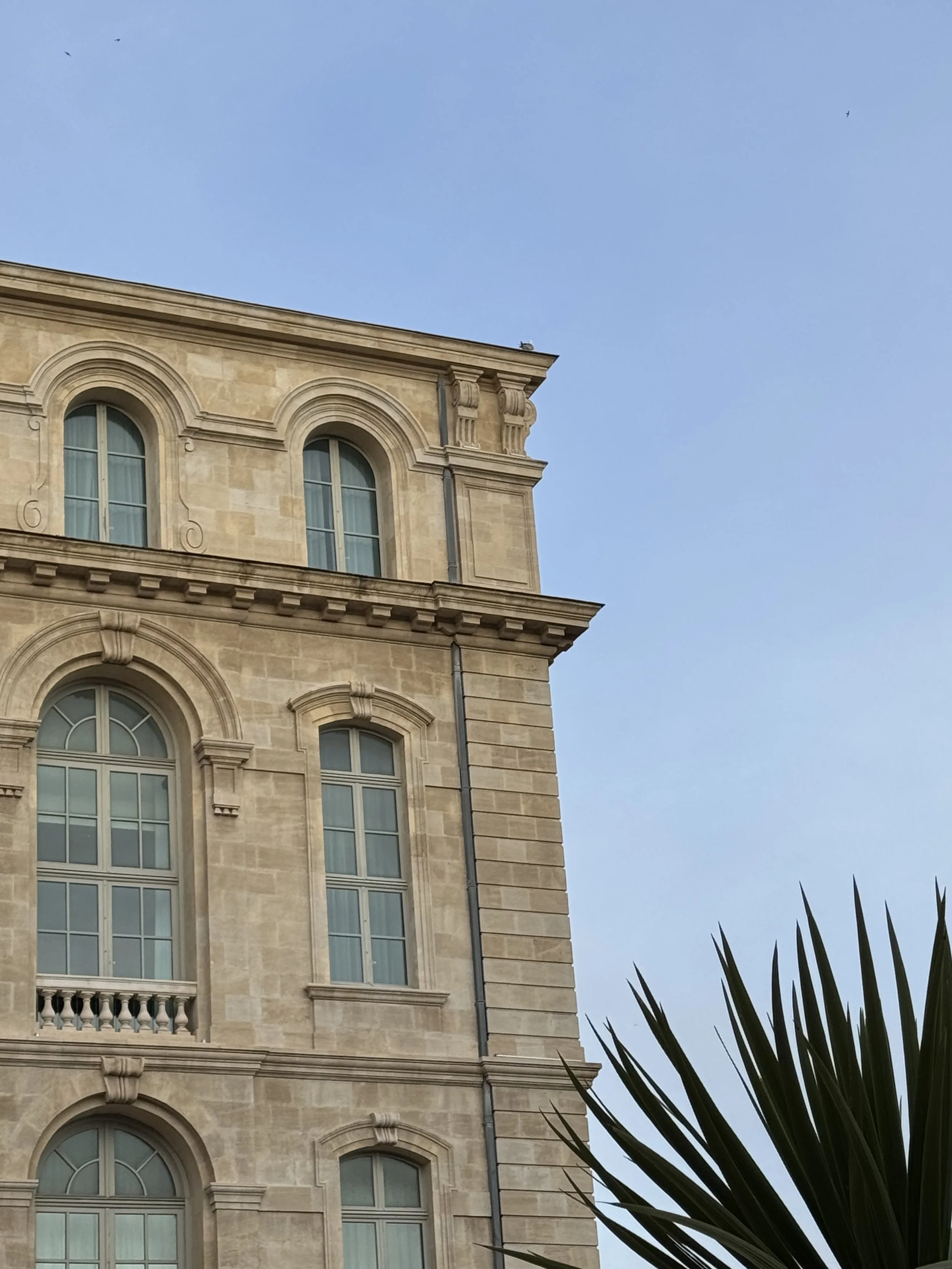 A multi-story beige stone building with arched windows and decorative architectural details, set against a clear blue sky with a few birds flying, and some dark green palm leaves in the lower right corner.