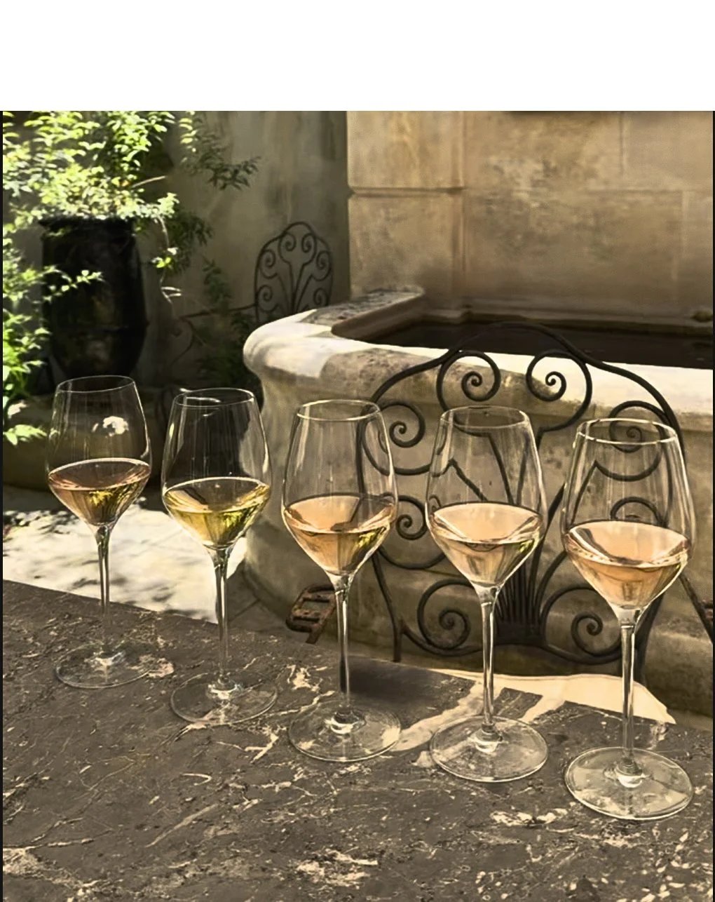 Five glasses of Provence rosé wine displayed outdoors in Provence.