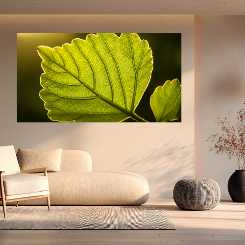 Counselling Rooms