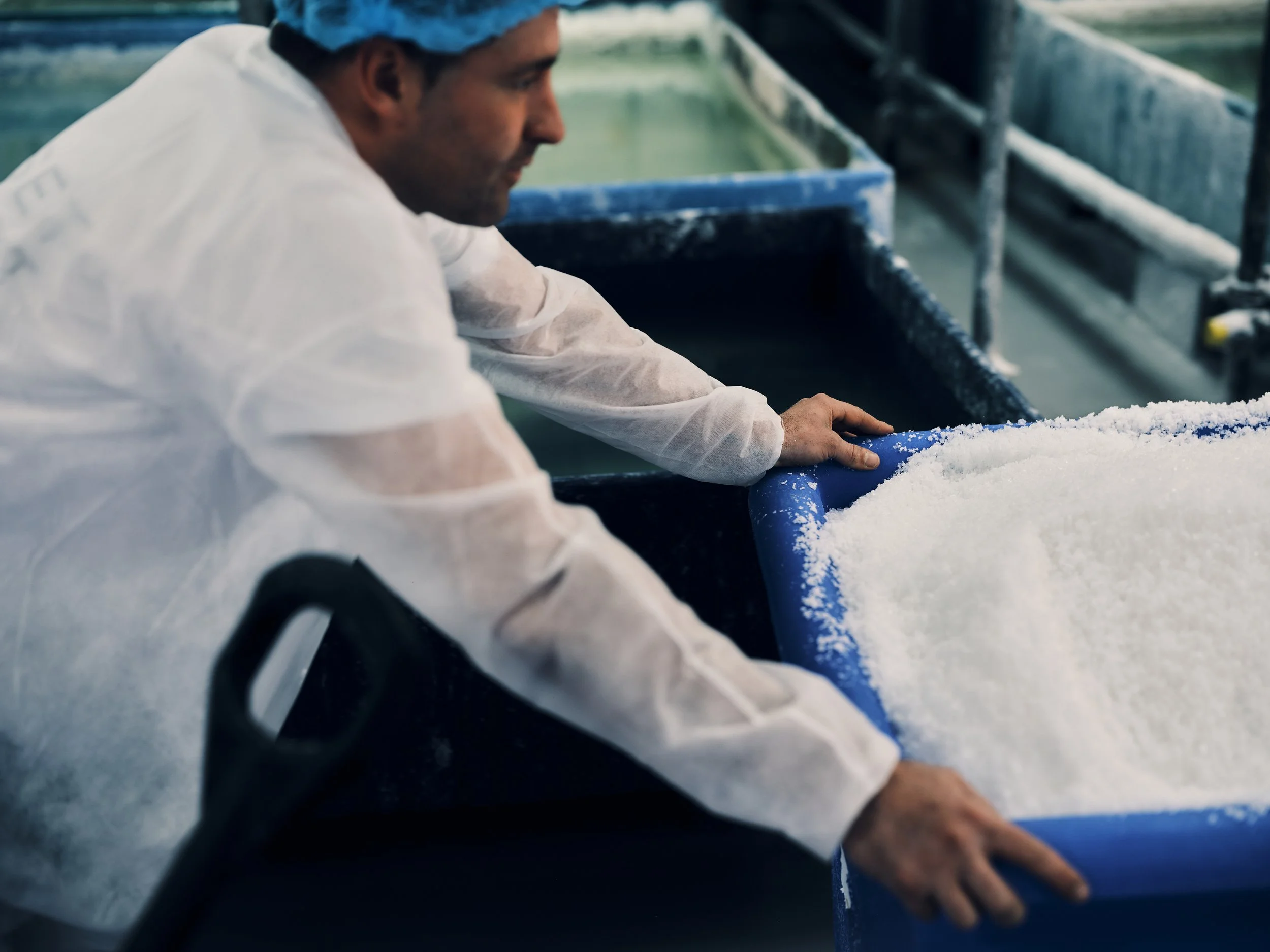 0064 Process x Dorset Sea Salt x CULPRITS.jpg