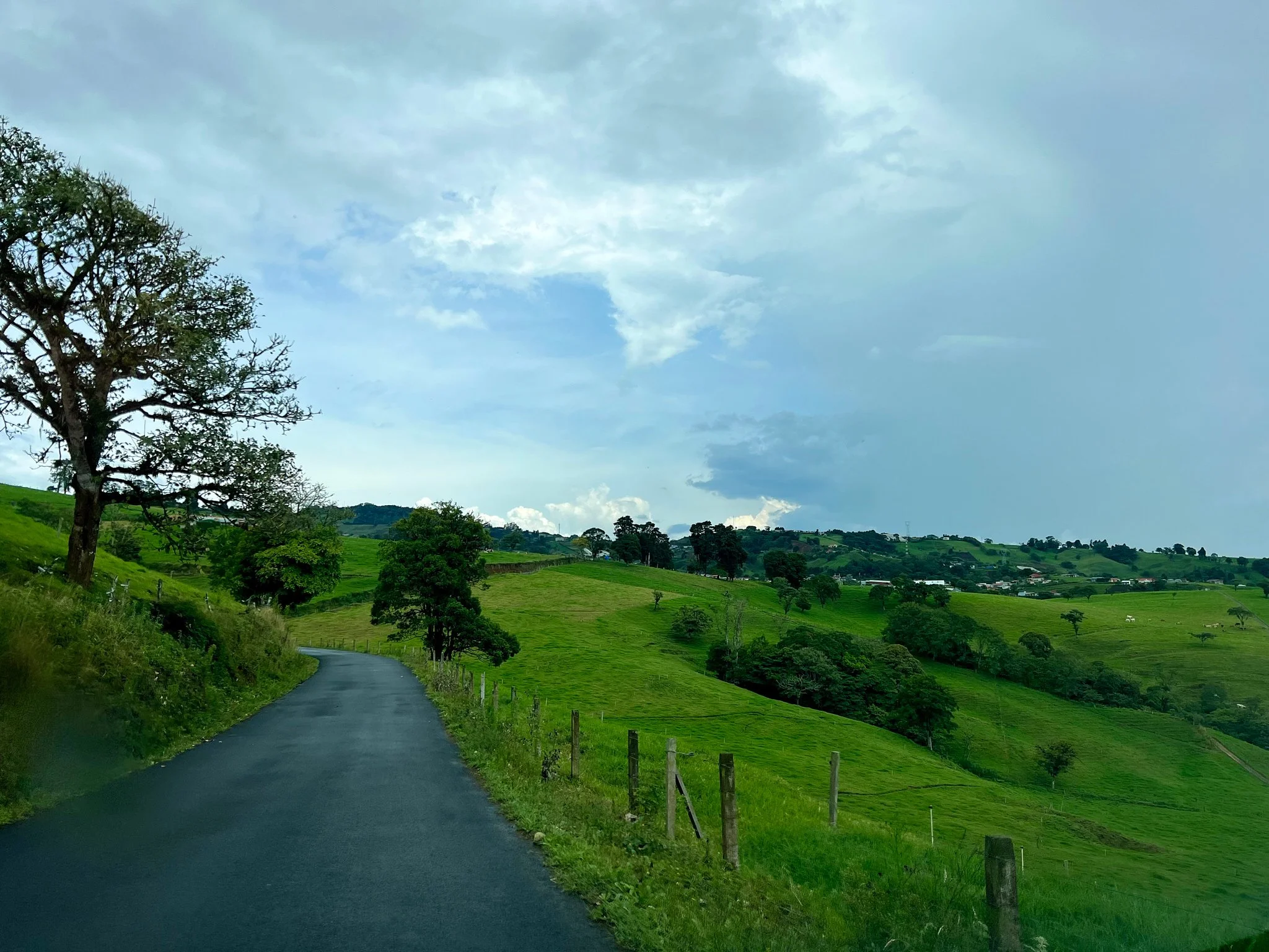 road vista green.jpg