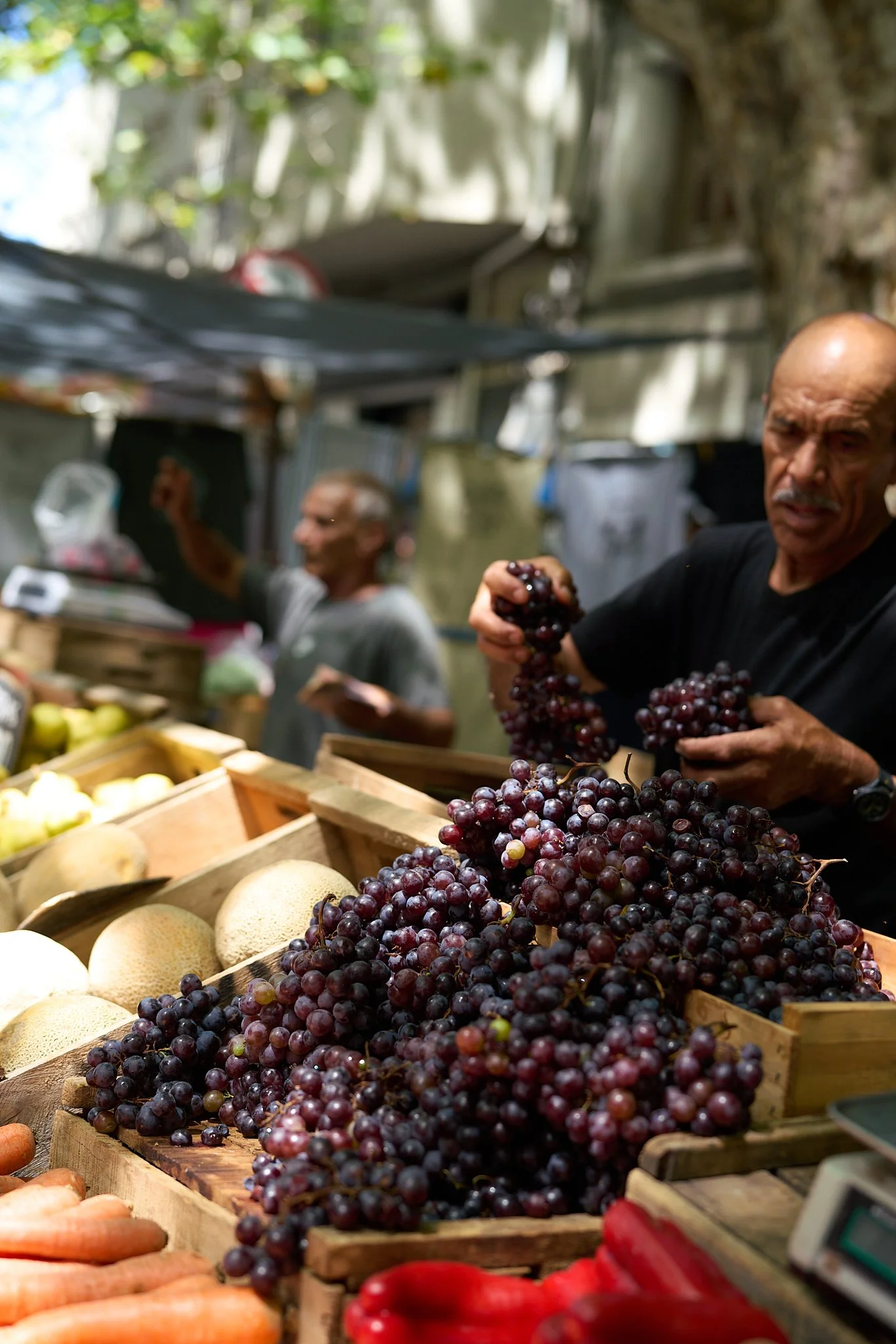 grapes.jpg