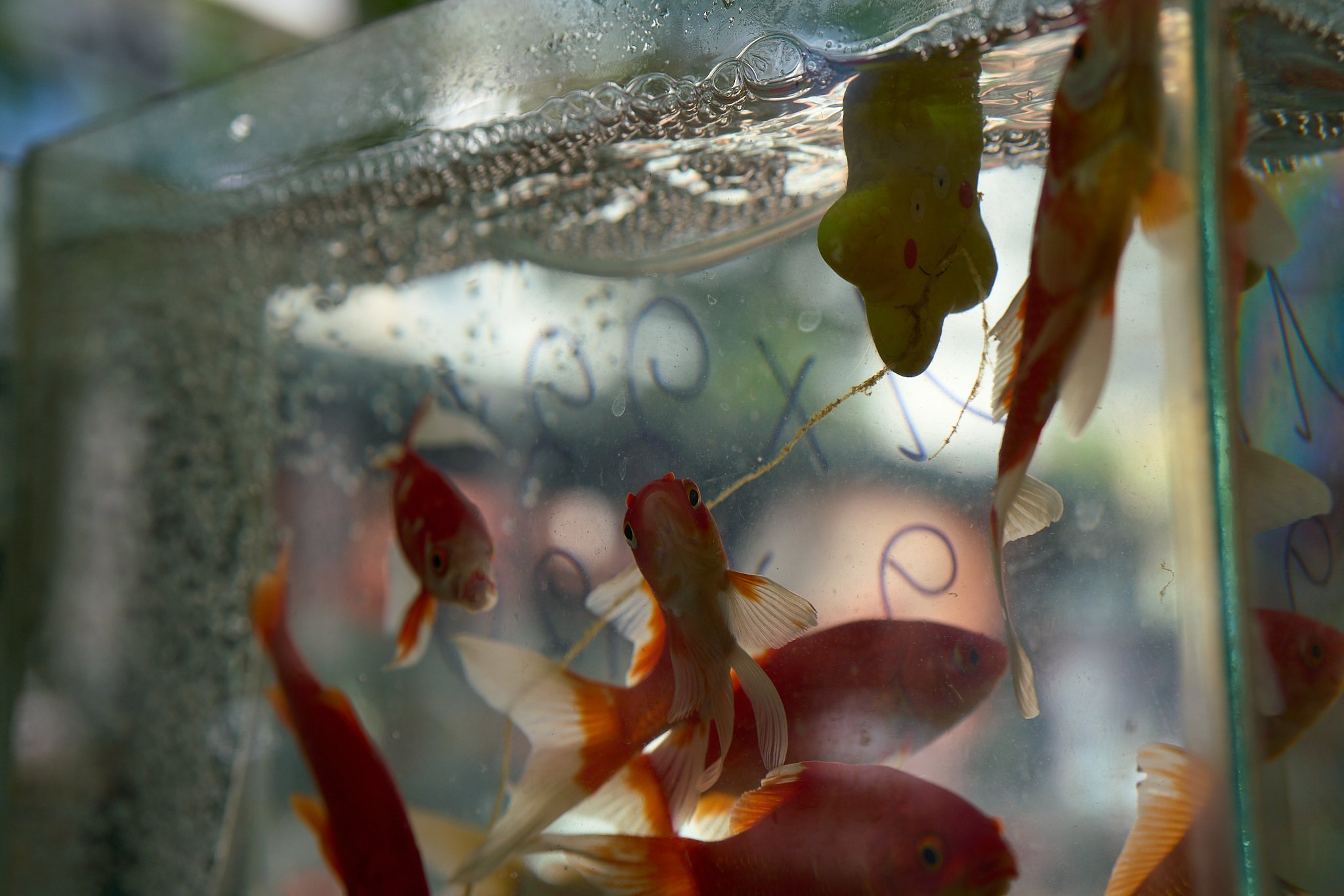 Tank Close Up.jpg