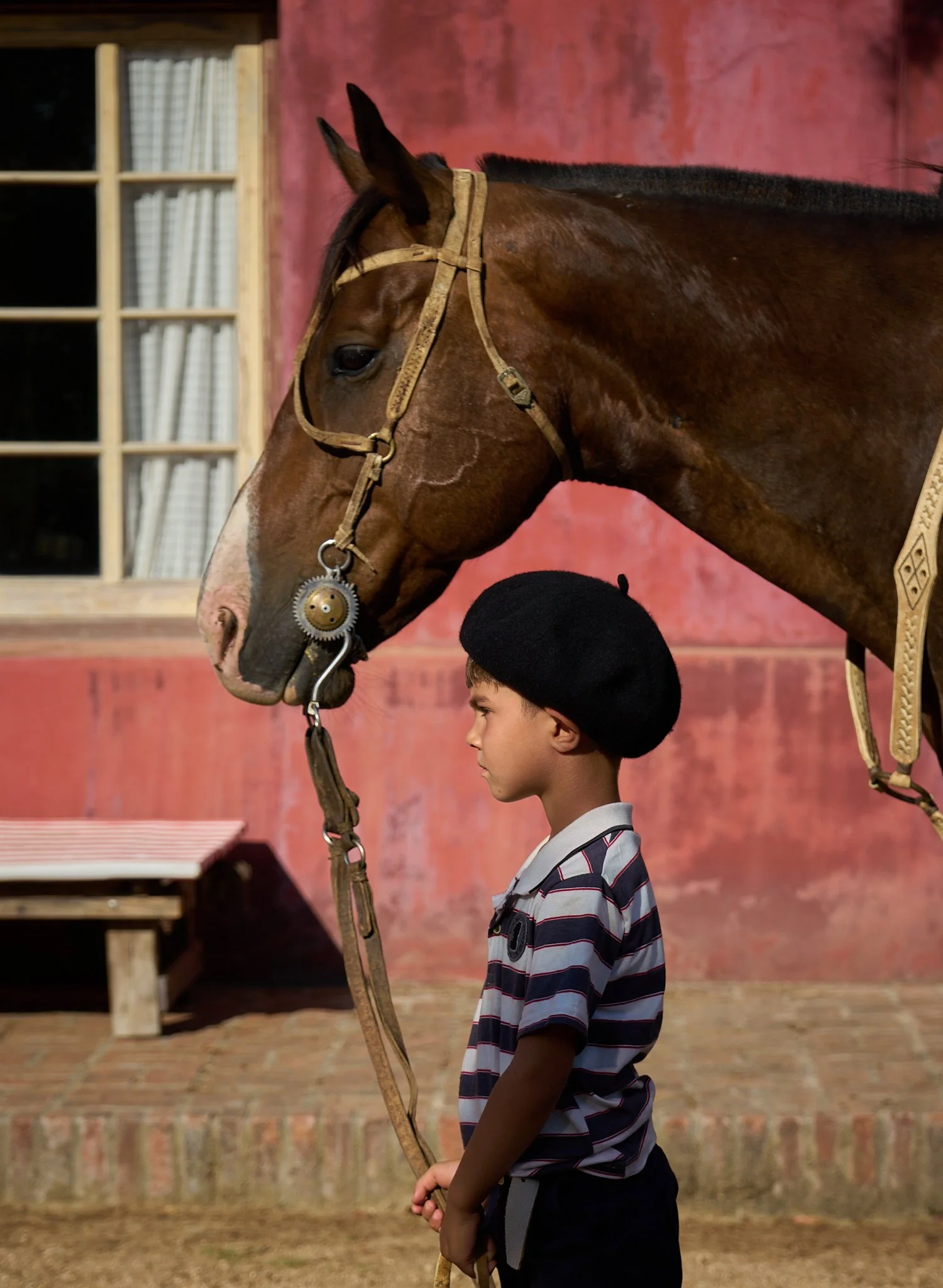 horse profile.jpg