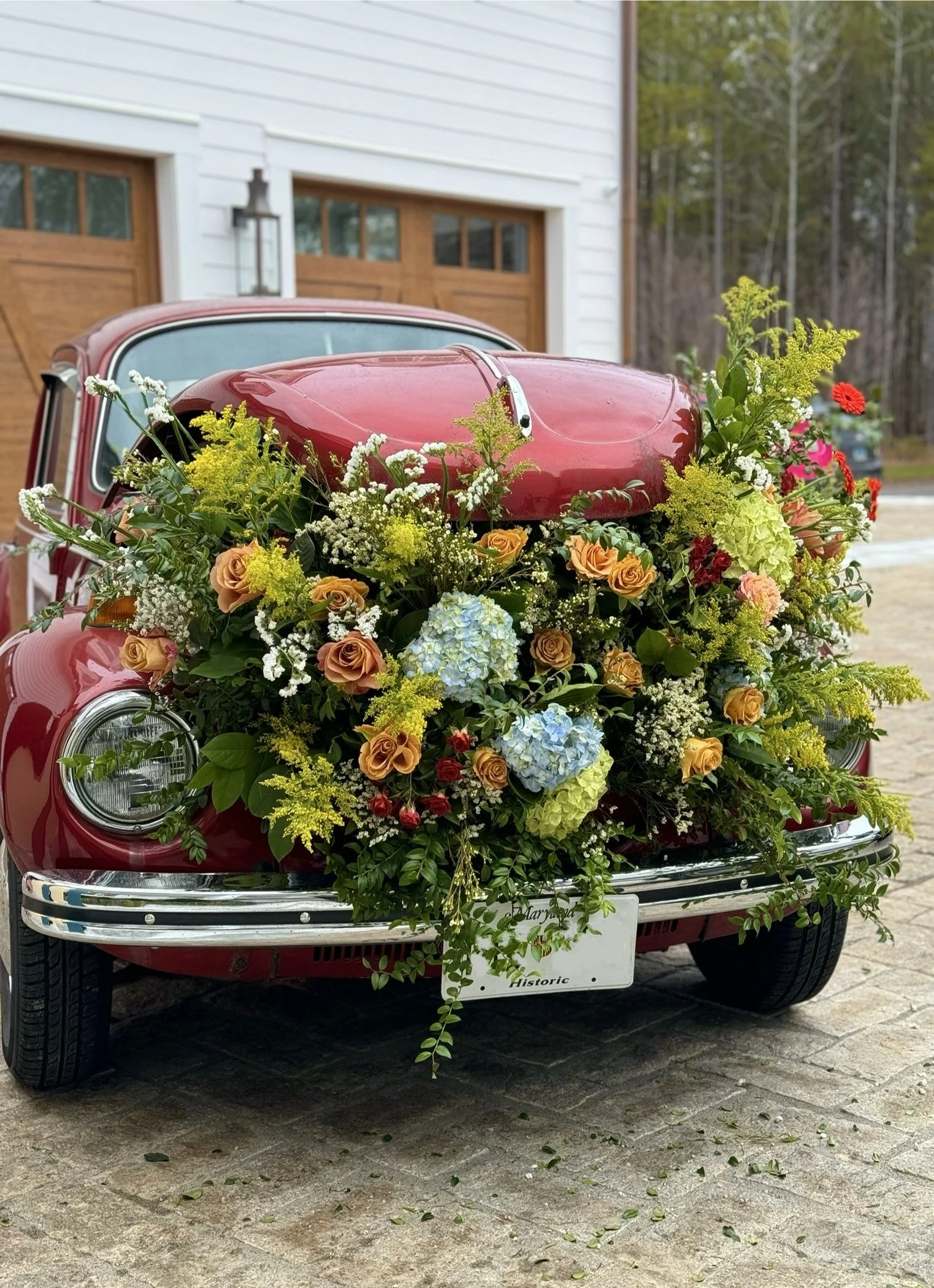 flower bug 2.jpg