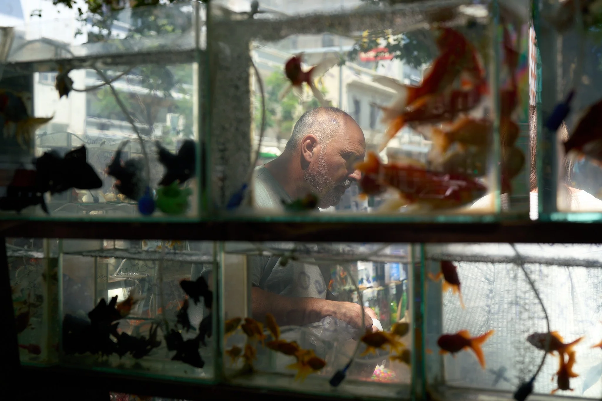 fish tank guy.jpg