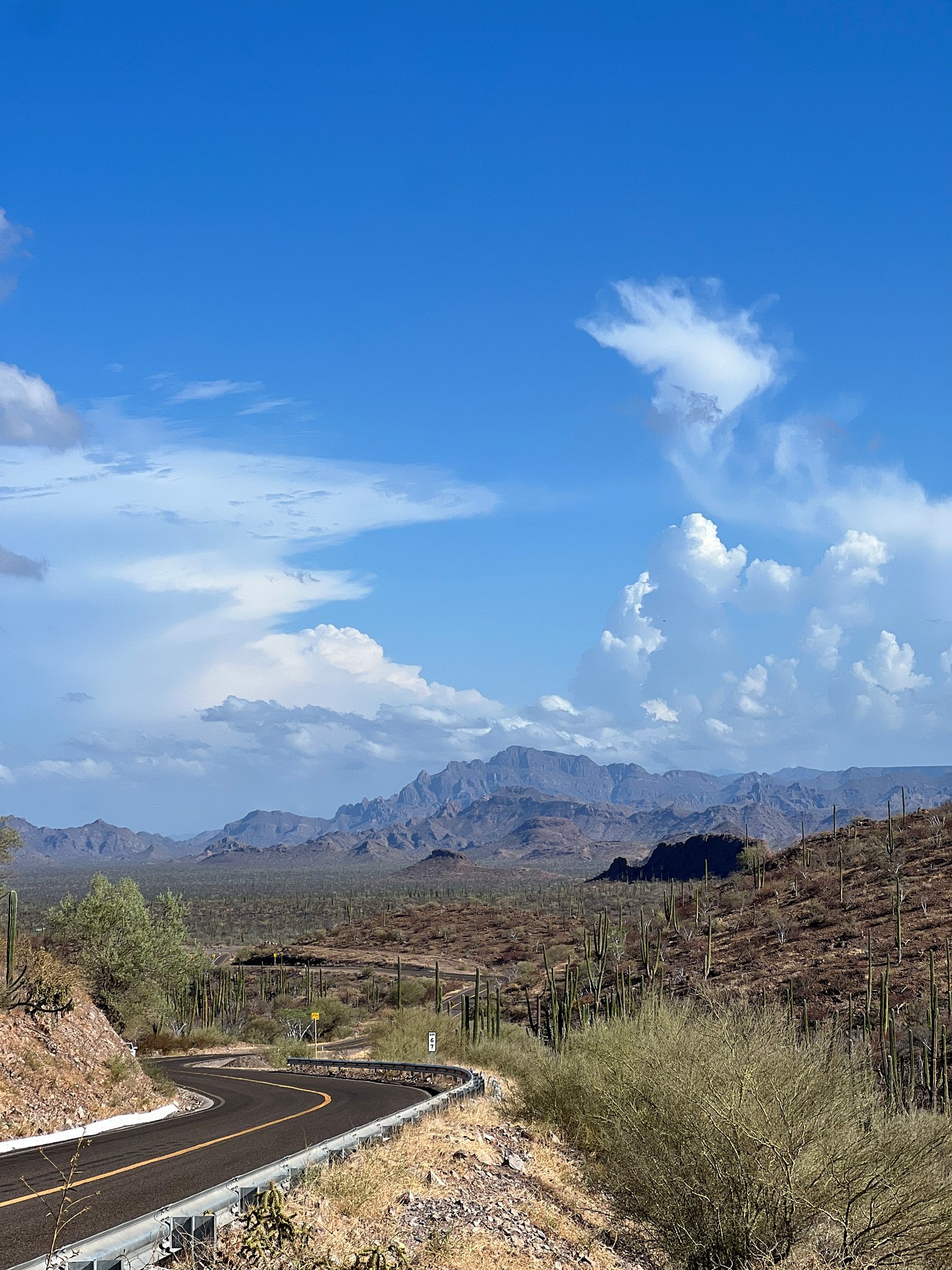 mexico road.jpg