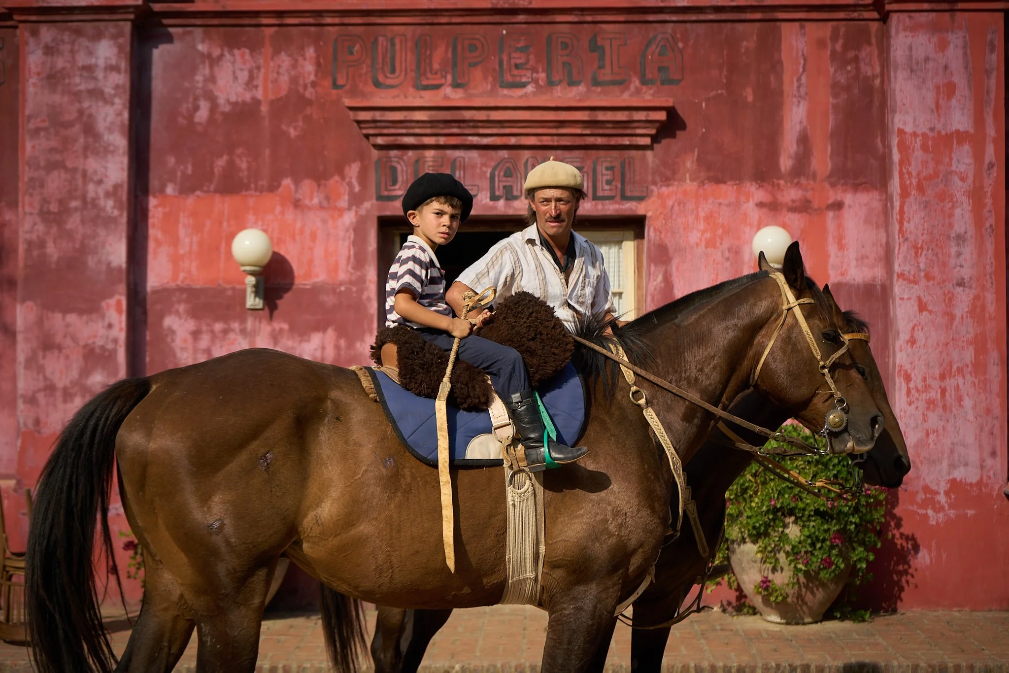 Front horses.jpg
