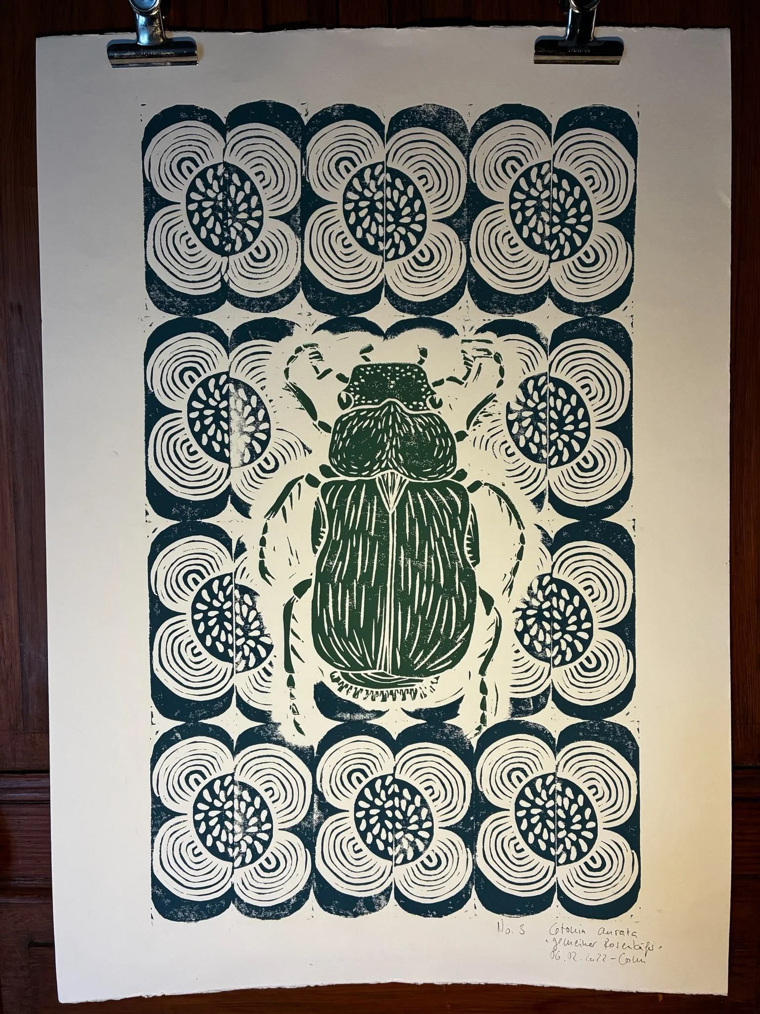 Käfer 1