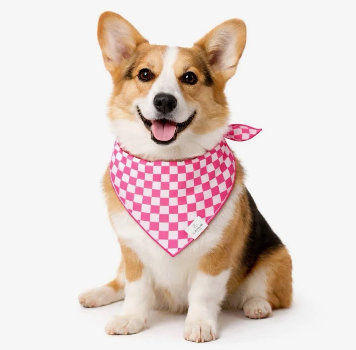 🦴COMING SOON! 

The Coast. Pup Edit 🐾🌊

Because your best friend deserves a little Coast. style, too.

We&rsquo;ve got new dog bandanas + fresh patches to mix, match, and make their own. 

🐶 Pick your bandana (there&rsquo;s multiple sizes) choose