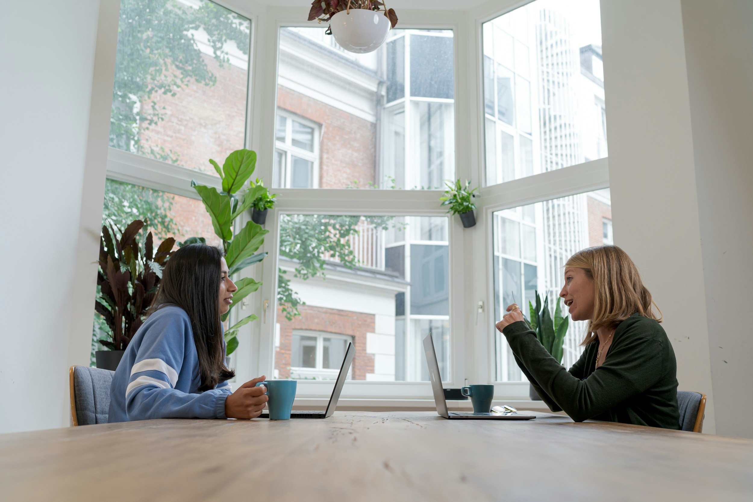 Two women sitting at a light-colored wooden table in a bright room with large windows, engaged in conversation, with laptops and coffee mugs in front of them, and indoor plants in the background.