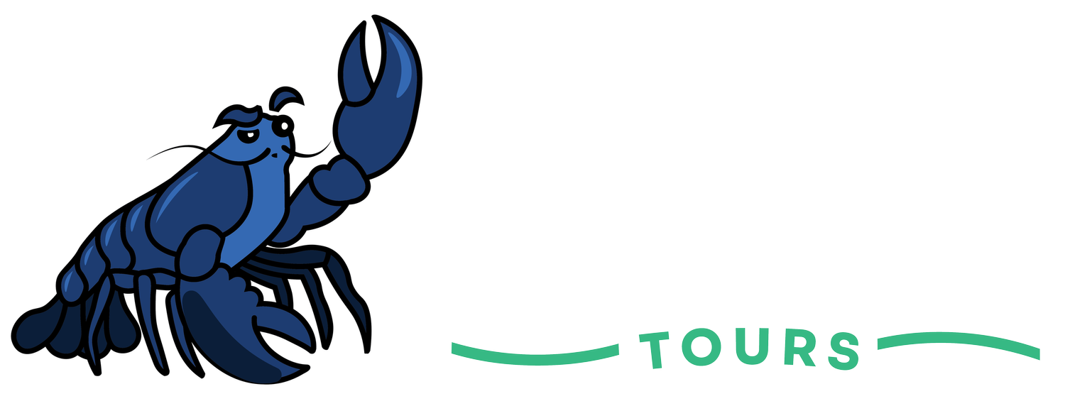 Mostly Accurate Tours